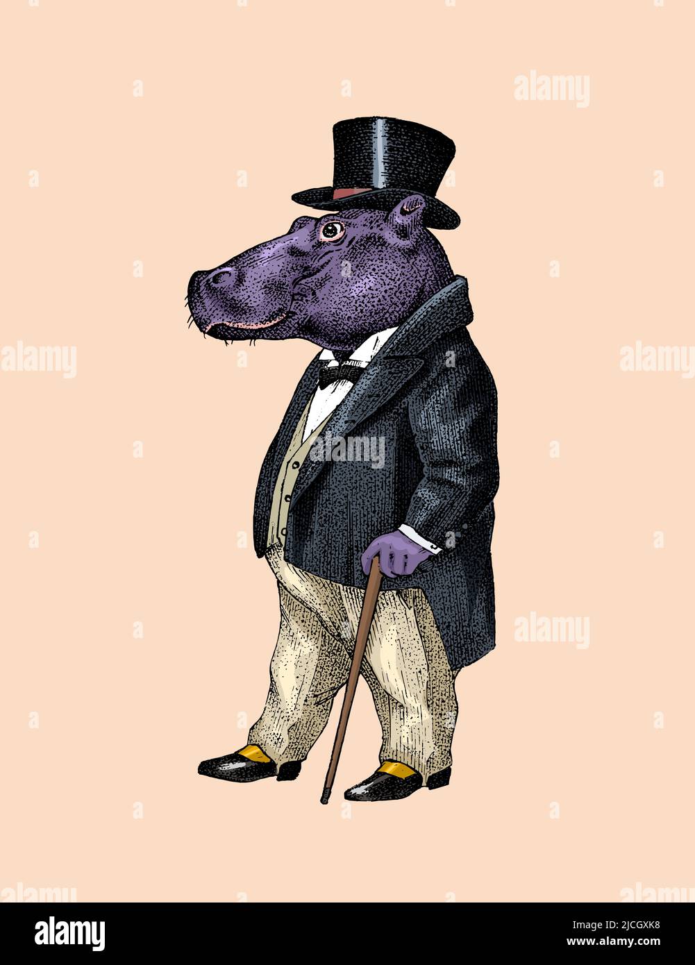 Hippopotame tendance.Homme antique dans une veste et un chapeau.Vêtements rétro anciens de style victorien.Un homme en costume.Style de gravure vintage Illustration de Vecteur