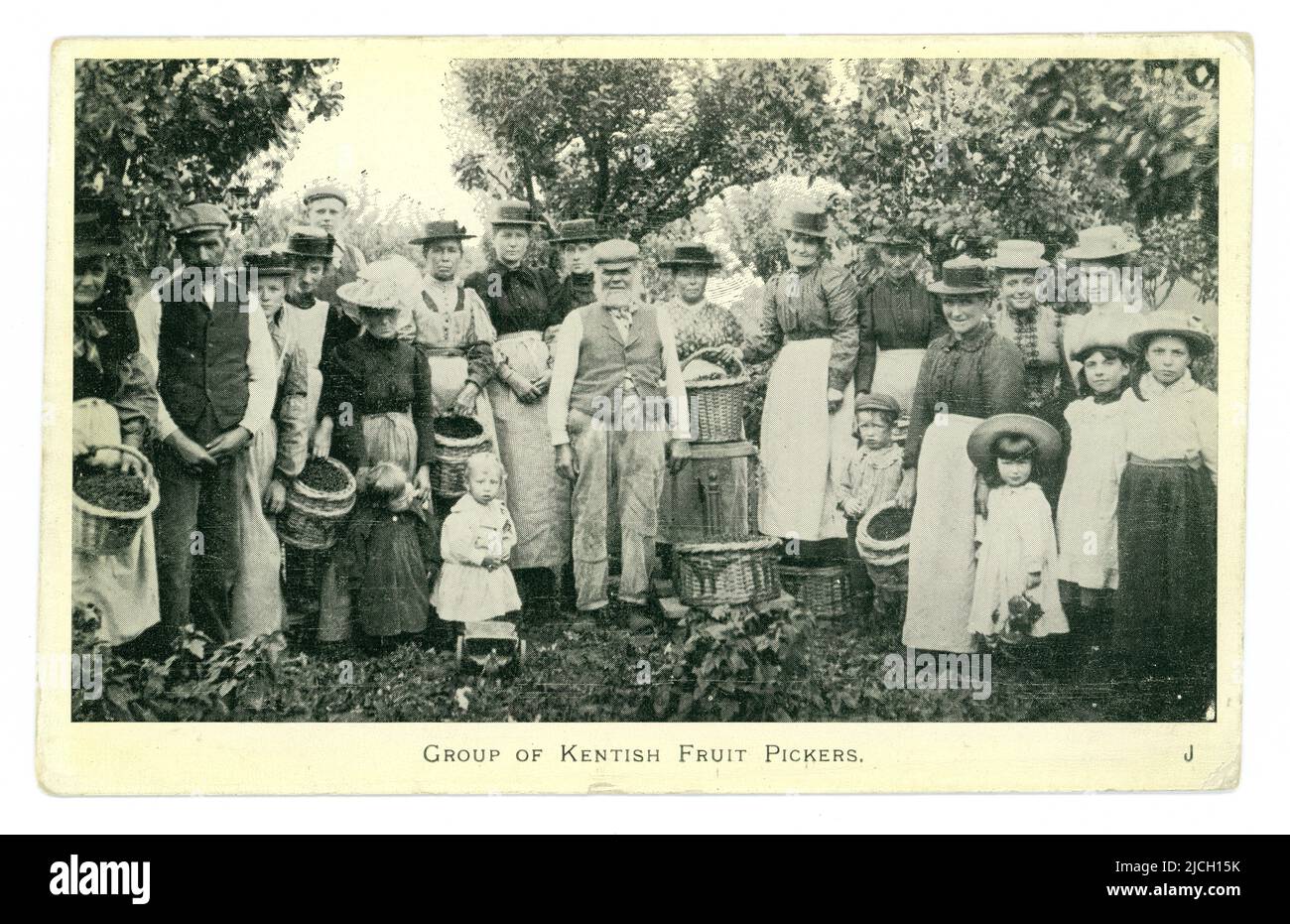 Carte postale originale de l'époque édouardienne représentant un groupe de cueilleurs de fruits kentish, cueillant des cerises, classe ouvrière pauvre, en vacances de travail, vers.1904, Kent, Angleterre, Royaume-Uni Banque D'Images