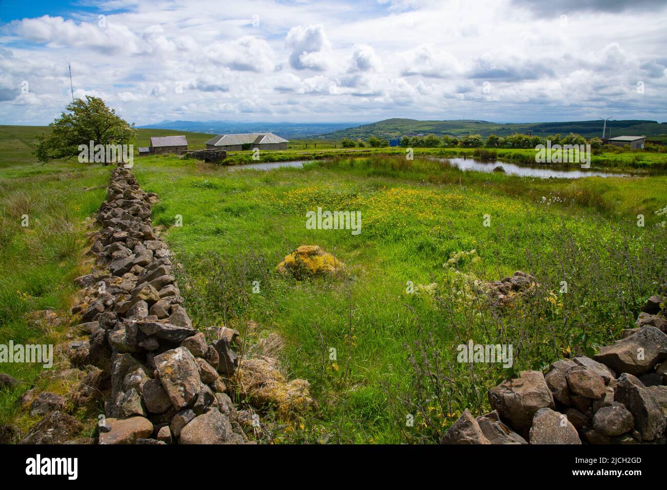 Divis Mountain Walk sur les montagnes surplombant Belfast, Irlande du Nord Banque D'Images