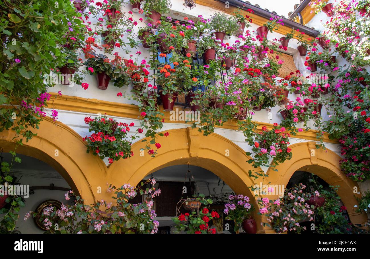 Patio lleno de flores en primavera, Cordoue, Espagne Banque D'Images