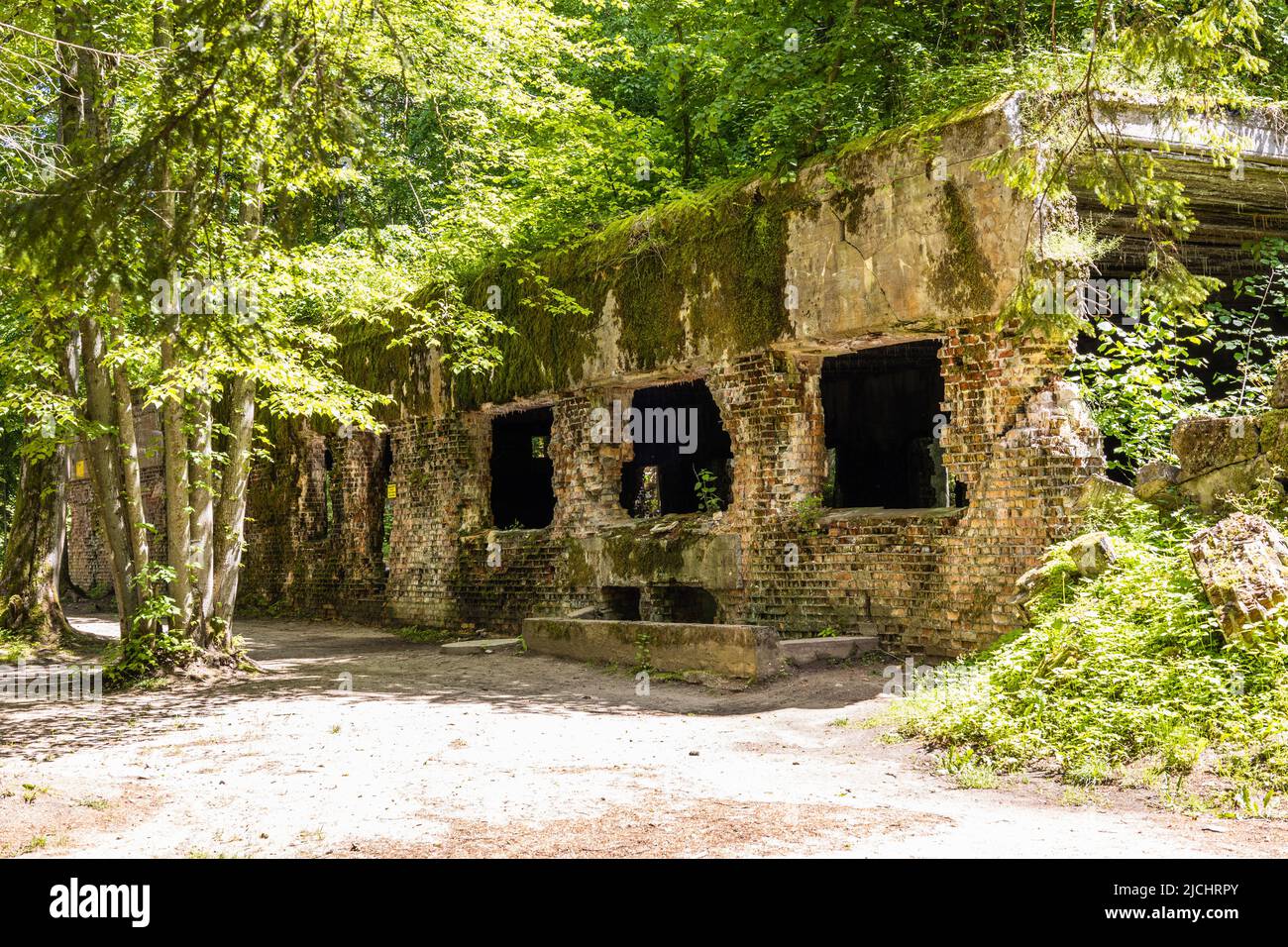 Ruines d'un bâtiment dans le Wolf's Lair. Ancien quartier général de guerre d'Adolf Hitler en Pologne Banque D'Images