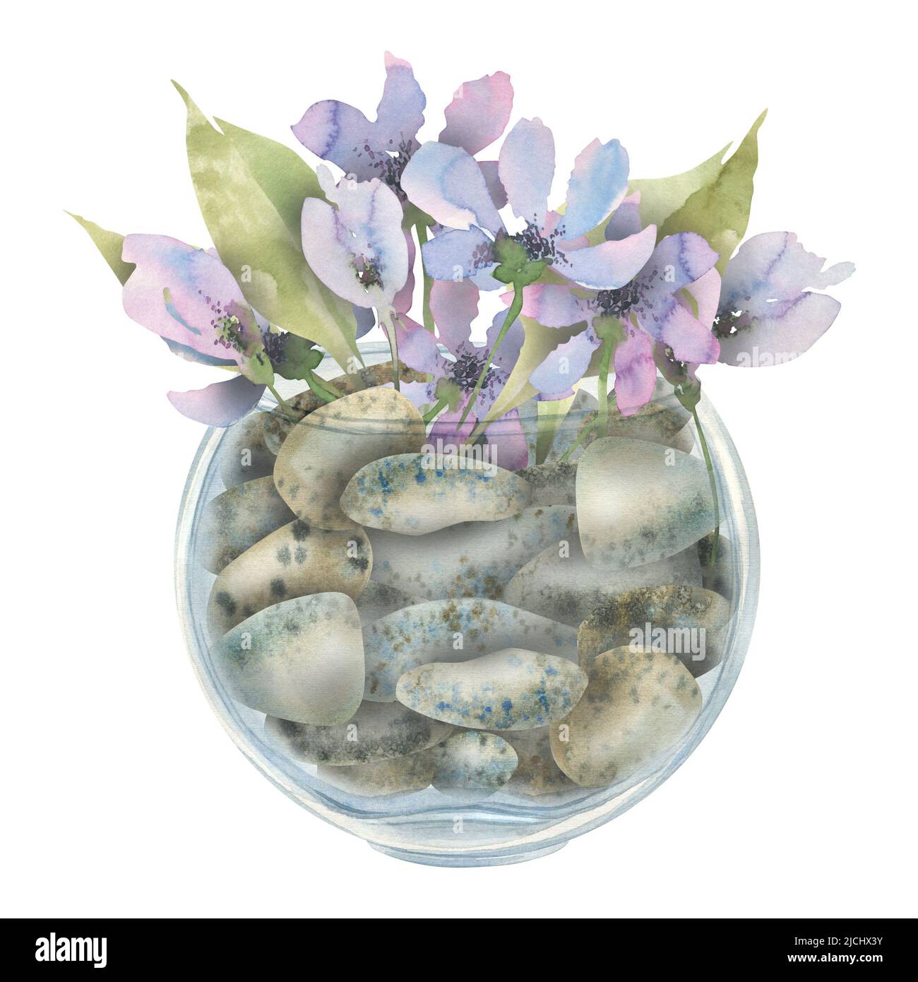 Fleurs délicates et violettes abstraites dans un pot en verre rempli de galets. Illustration aquarelle. Composition pour la décoration et le design intérieur, pos Banque D'Images