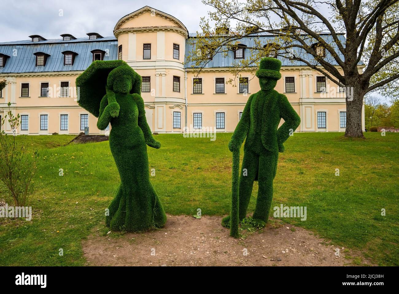 Fleurs de jardin dans les décorations de parc vert d'été. Banque D'Images