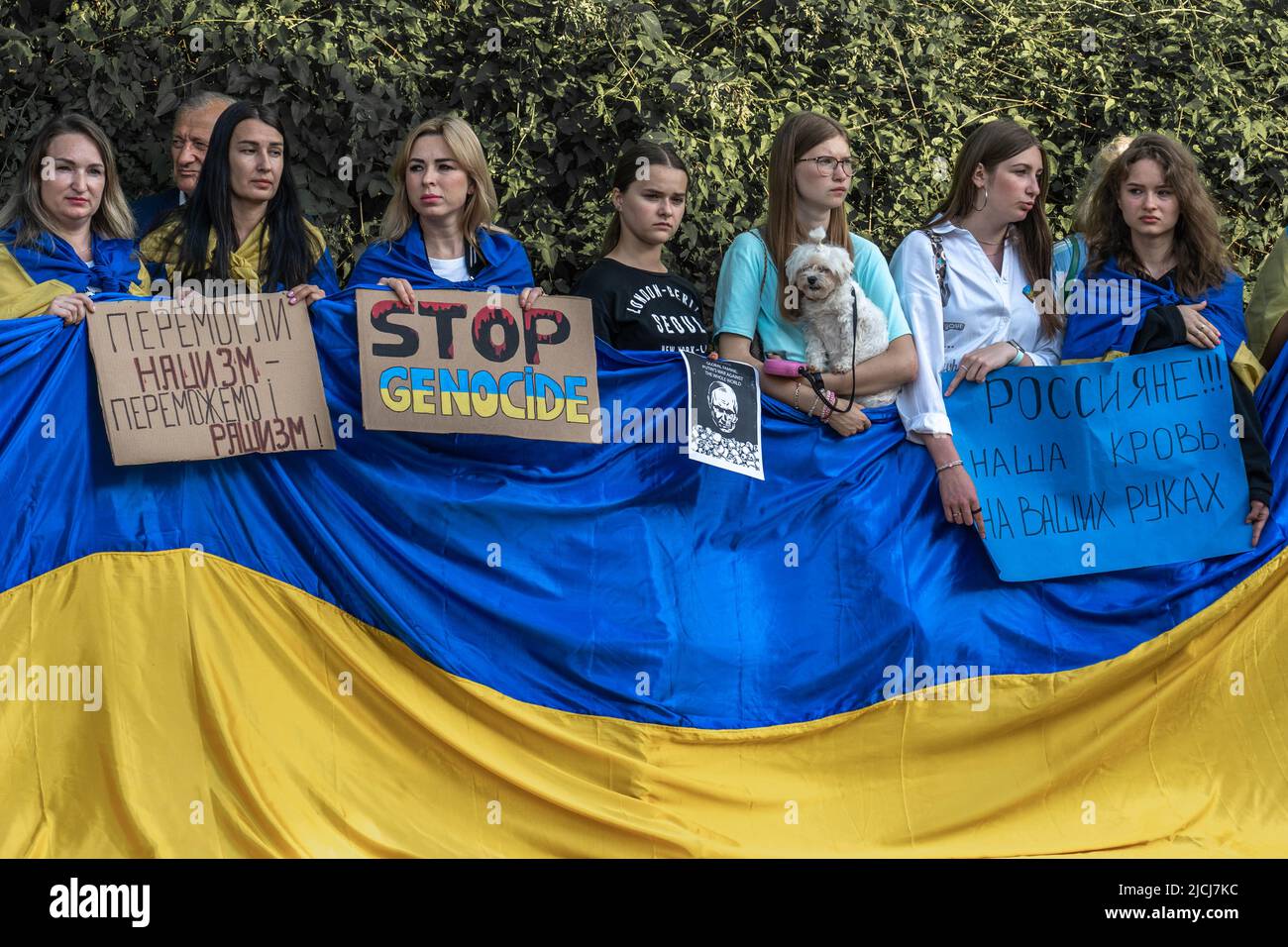 Sofia, Bulgarie, 13 juin 2022: Le peuple détient le drapeau ukrainien et des placards Arrêter le génocide, nous avons vaincu le nazisme - nous allons vaincre le Raschisme, russe Banque D'Images