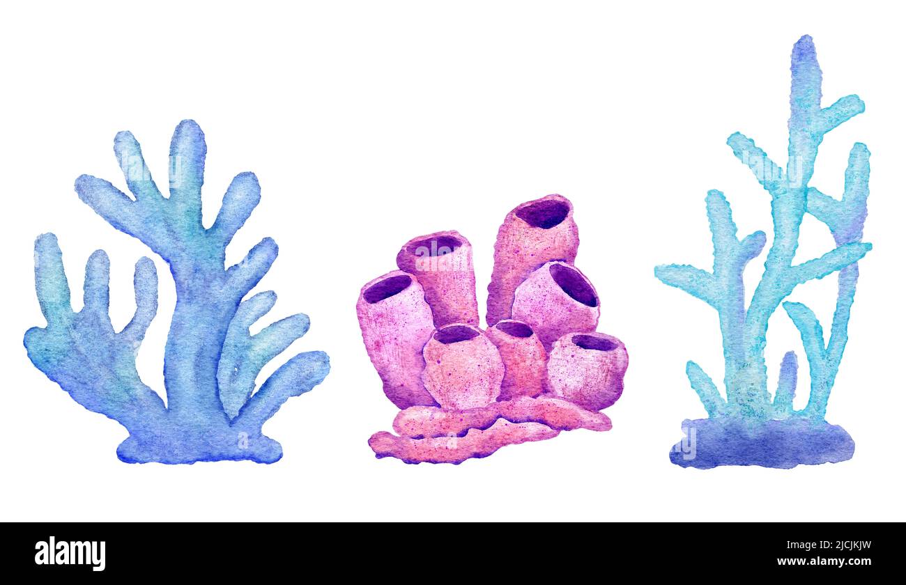 Aquarelle illustration des coraux dans les couleurs bleu turquoise violet, océan mer faune sous-marine. Style marin de plage d'été, vie de récif australien nature, environnement naturel clipart Banque D'Images