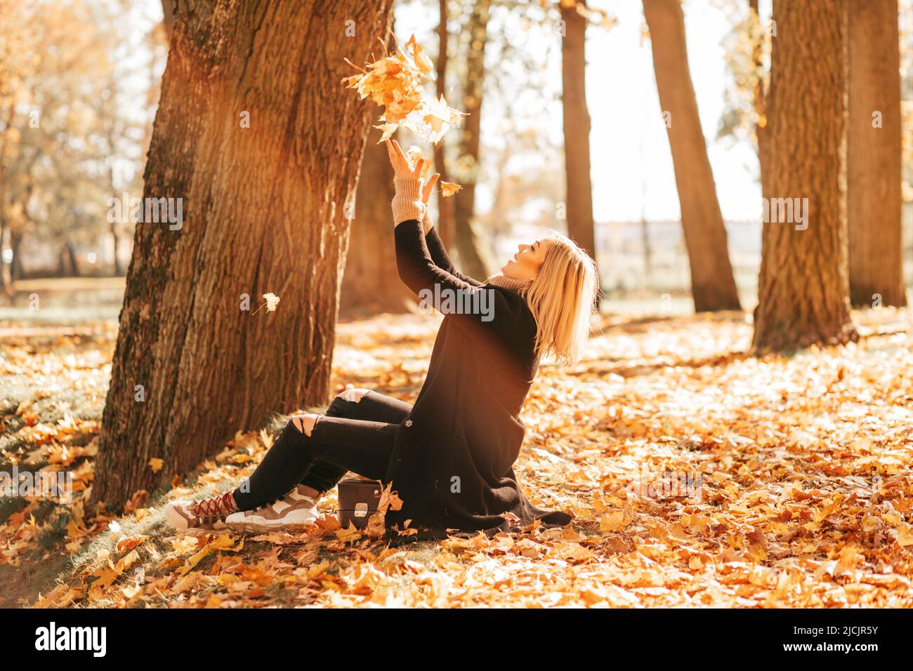 Une femme heureuse jette des feuilles jaunes tombées dans l'air le jour ensoleillé de l'automne assis sur une vieille valise dans le parc. Amusez-vous à faire de la randonnée en automne. Style de vie Banque D'Images