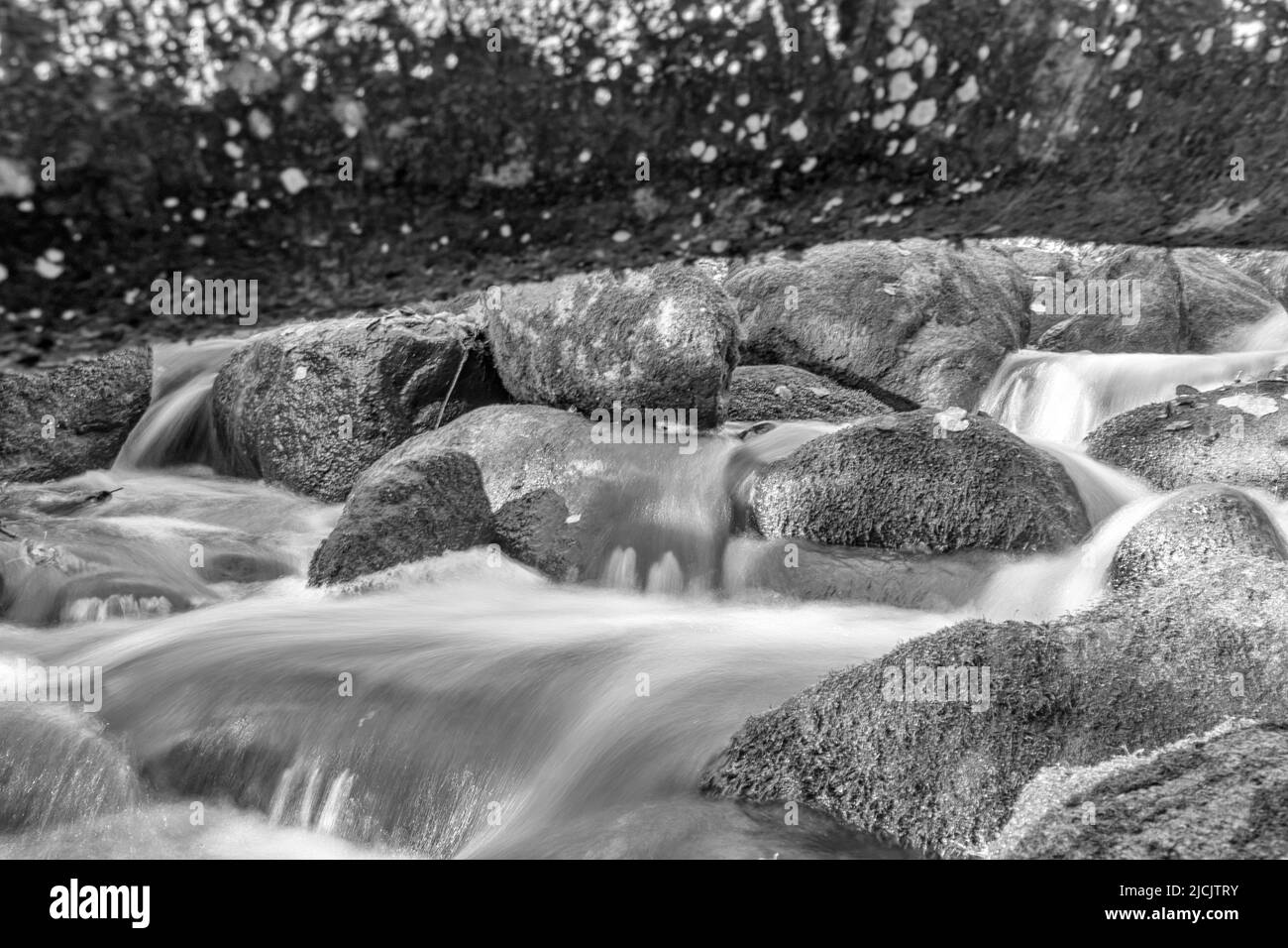 paysage noir et blanc avec une petite rivière sauvage et rapide entre les rochers, exposition à long terme, eau inondée, rochers, arbres et feuilles d'automne Banque D'Images