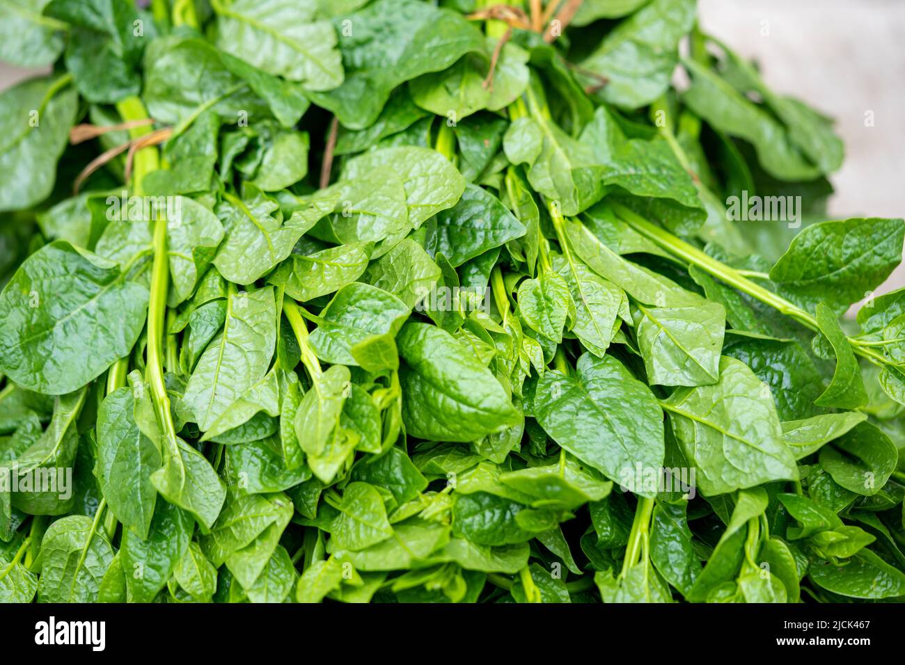 Punishak est une des sources de vitamine K. la vitamine K aide à la coagulation du sang. Banque D'Images