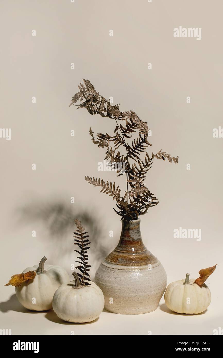 Groupe de citrouilles décoratives blanches entières non cuites avec des feuilles sèches d'automne autour d'un vase en céramique sur fond beige. Composition minimaliste d'automne. COP Banque D'Images