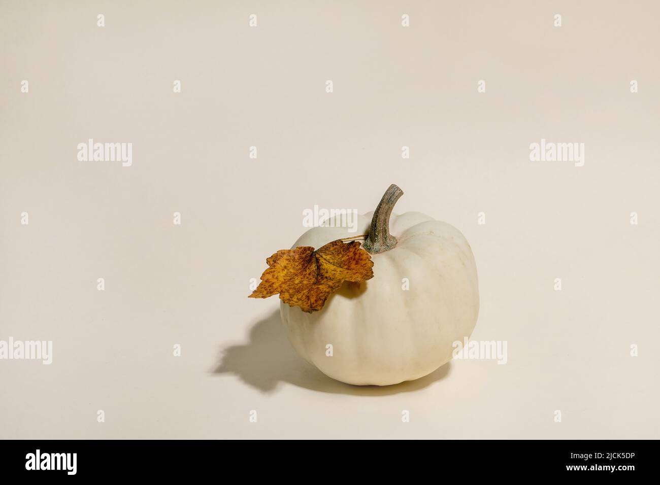Citrouille décorative blanche non cuite avec feuilles sèches d'automne sur fond beige. Composition minimaliste d'automne. Copier l'espace Banque D'Images