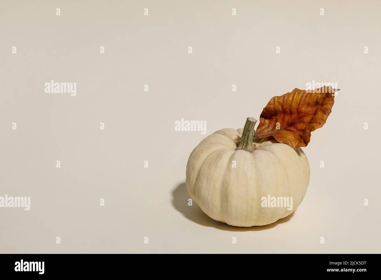 Citrouille décorative blanche non cuite avec feuilles sèches d'automne sur fond beige. Composition minimaliste d'automne. Copier l'espace Banque D'Images