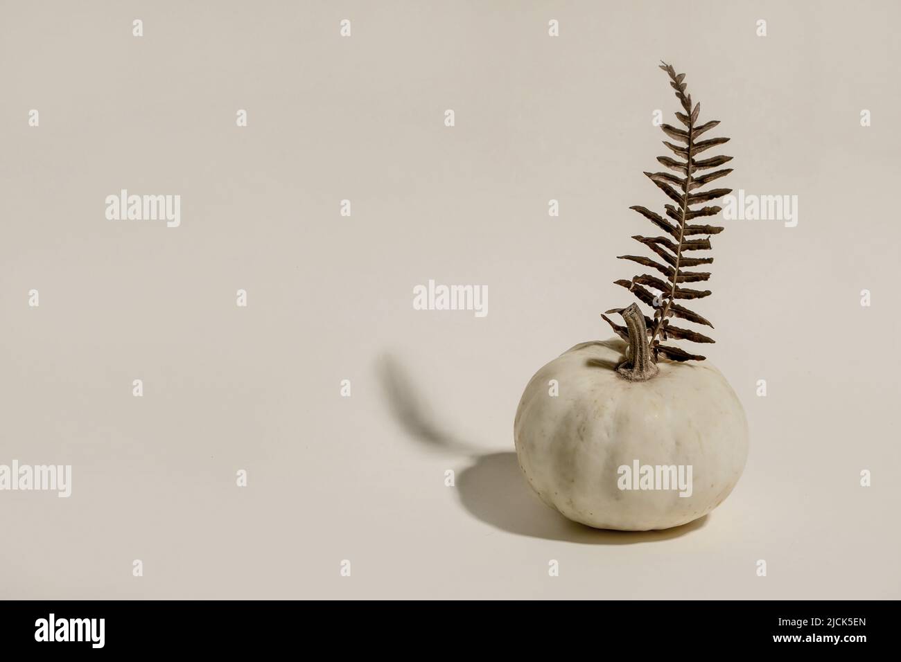 Citrouille décorative blanche non cuite avec feuilles sèches d'automne sur fond beige. Composition minimaliste d'automne. Copier l'espace Banque D'Images