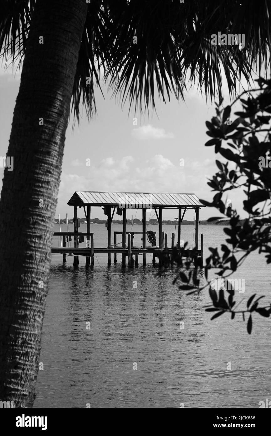 Palmiers se tenant près de la jetée enjambant les eaux de l'océan en noir et blanc. Banque D'Images