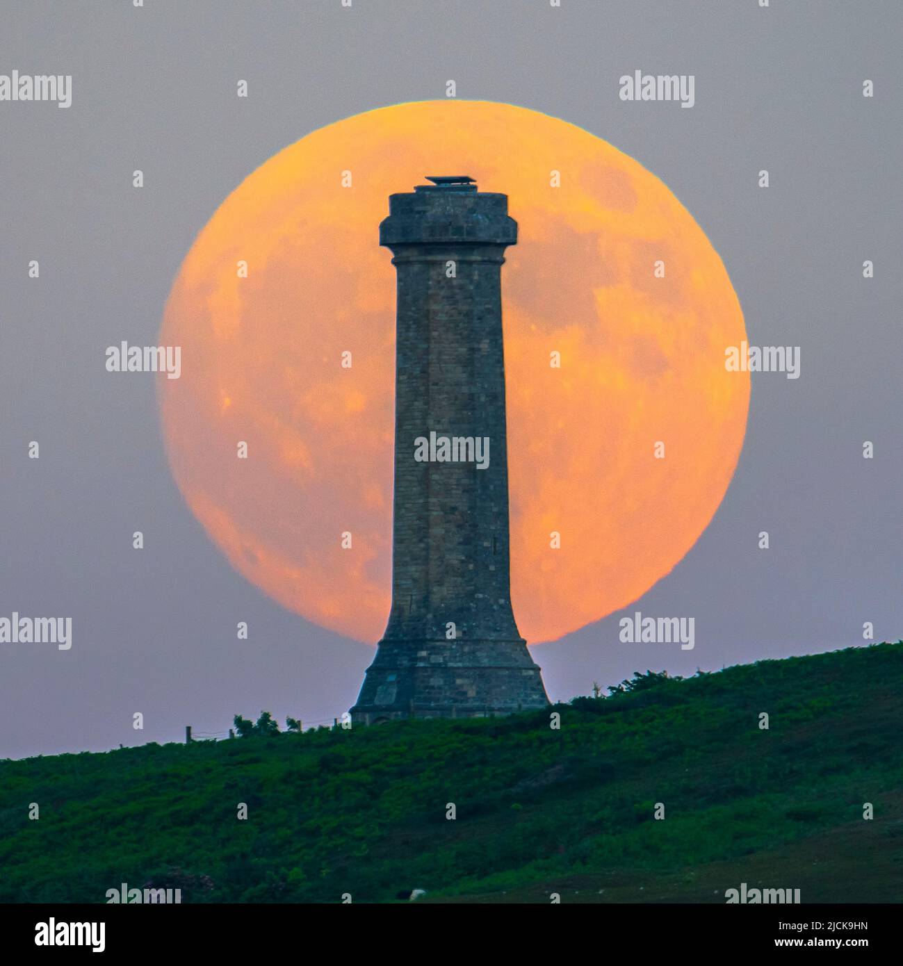 Portesham, Dorset, Royaume-Uni. 13th juin 2022. Météo Royaume-Uni. Le Strawberry Super Moon presque plein brille d'orange alors qu'il s'élève dans le ciel clair de la soirée de derrière le monument de Hardy à Portesham dans Dorset. Le monument a été construit en 1844 à la mémoire du vice-amiral Sir Thomas Masterman Hardy, capitaine de drapeau de la victoire du HMS à la bataille de Trafalgar. Crédit photo : Graham Hunt/Alamy Live News Banque D'Images