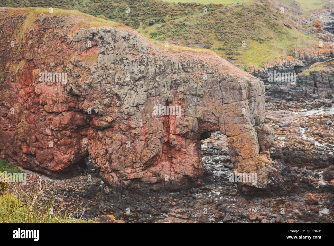 L'éléphant Rock affleurement sur la côte à Montrose, en Écosse Banque D'Images