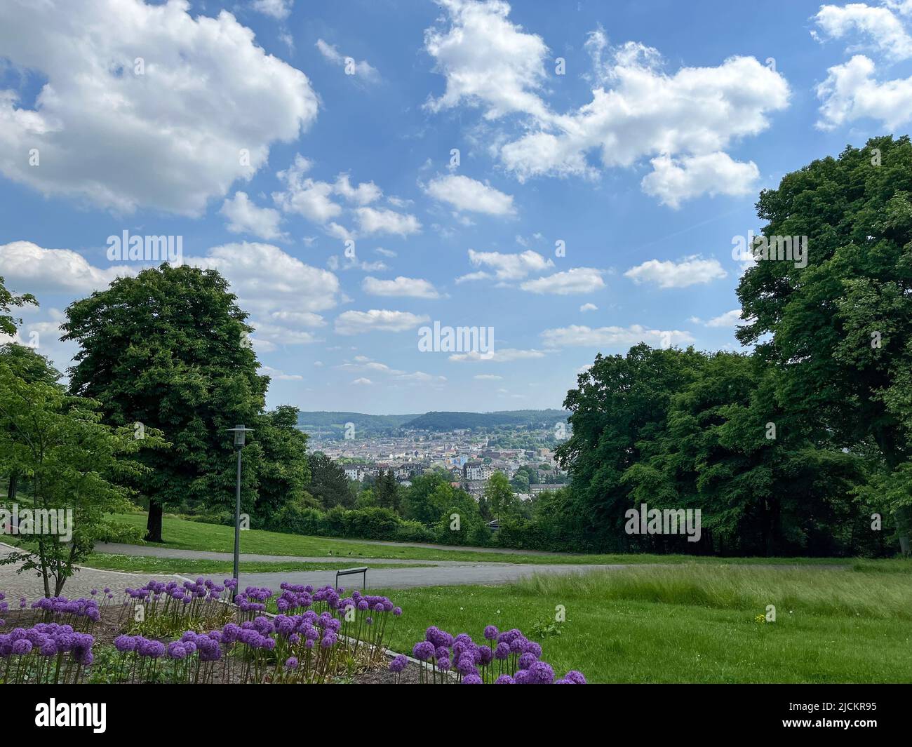 Grand angle du parc public Nordpark à Wuppertal, Allemagne. Bouquet d'oignons géants en fleurs au premier plan sous un ciel bleu avec des nuages pittoresques. Ci Banque D'Images
