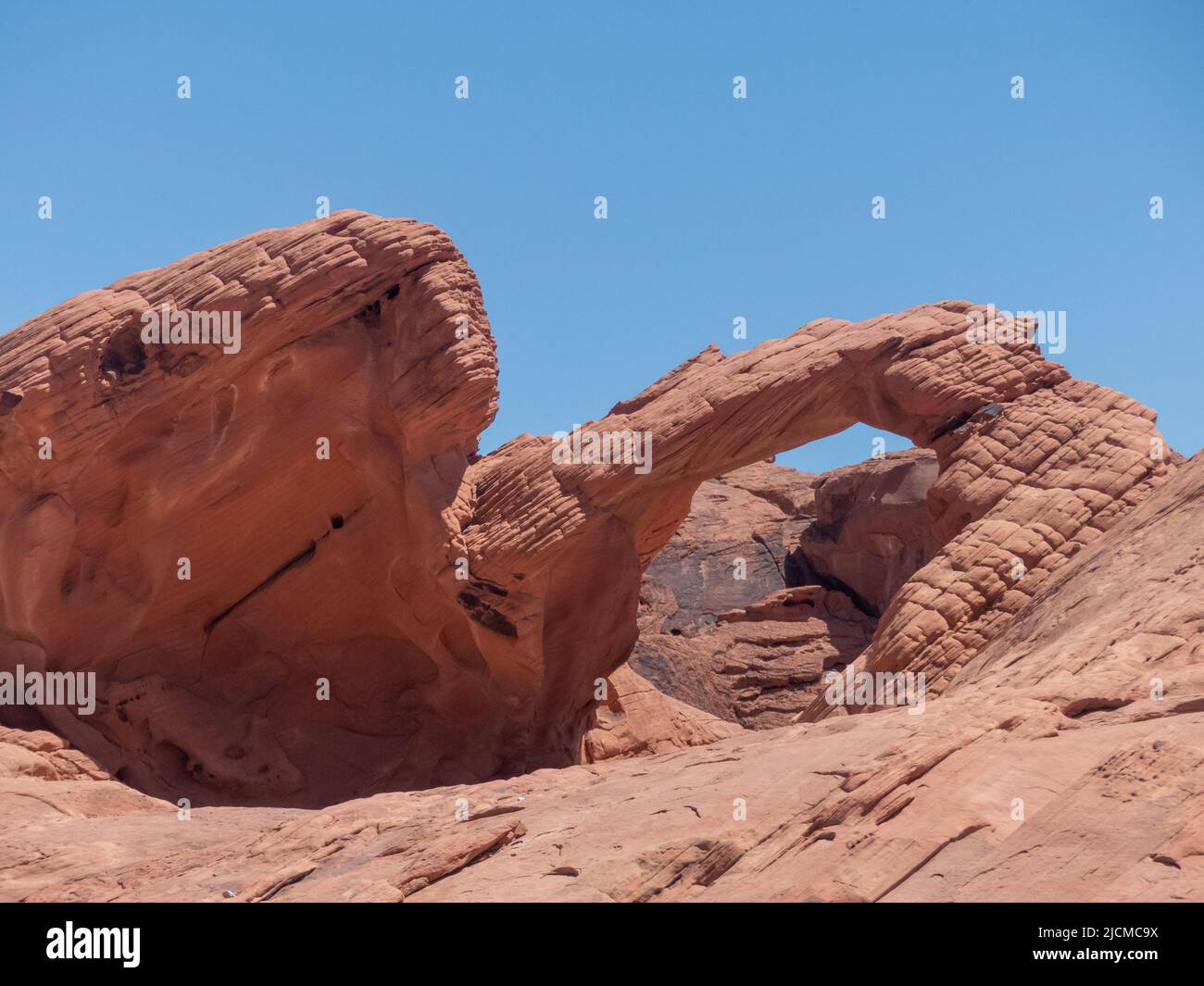 Valley of Fire State Park, Nevada, États-Unis : les formations rocheuses étranges. Banque D'Images