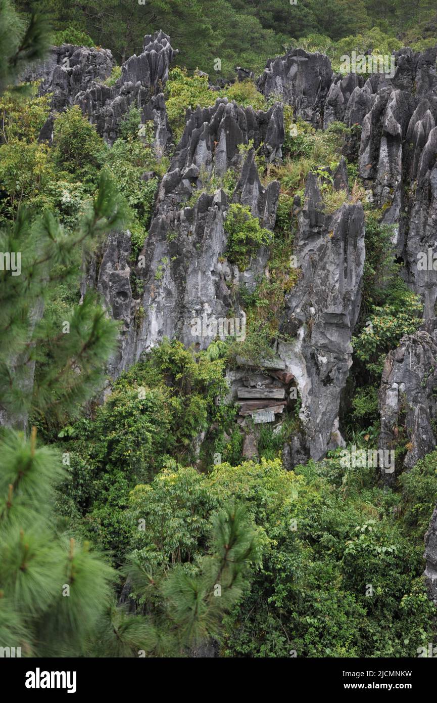 Province de montagne, Philippines : Coffins suspendus de Sagada attachés à une falaise escarpée dans la vallée de l'Echo, de loin. Un positionnement élevé signifie une grande importance. Banque D'Images