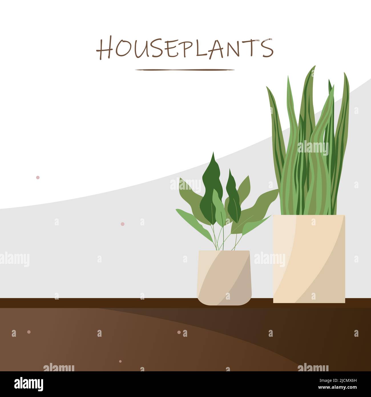 Illustration vectorielle Houseplants avec espace pour le texte. Plantes d'origine dans le pot de fleurs Illustration de Vecteur