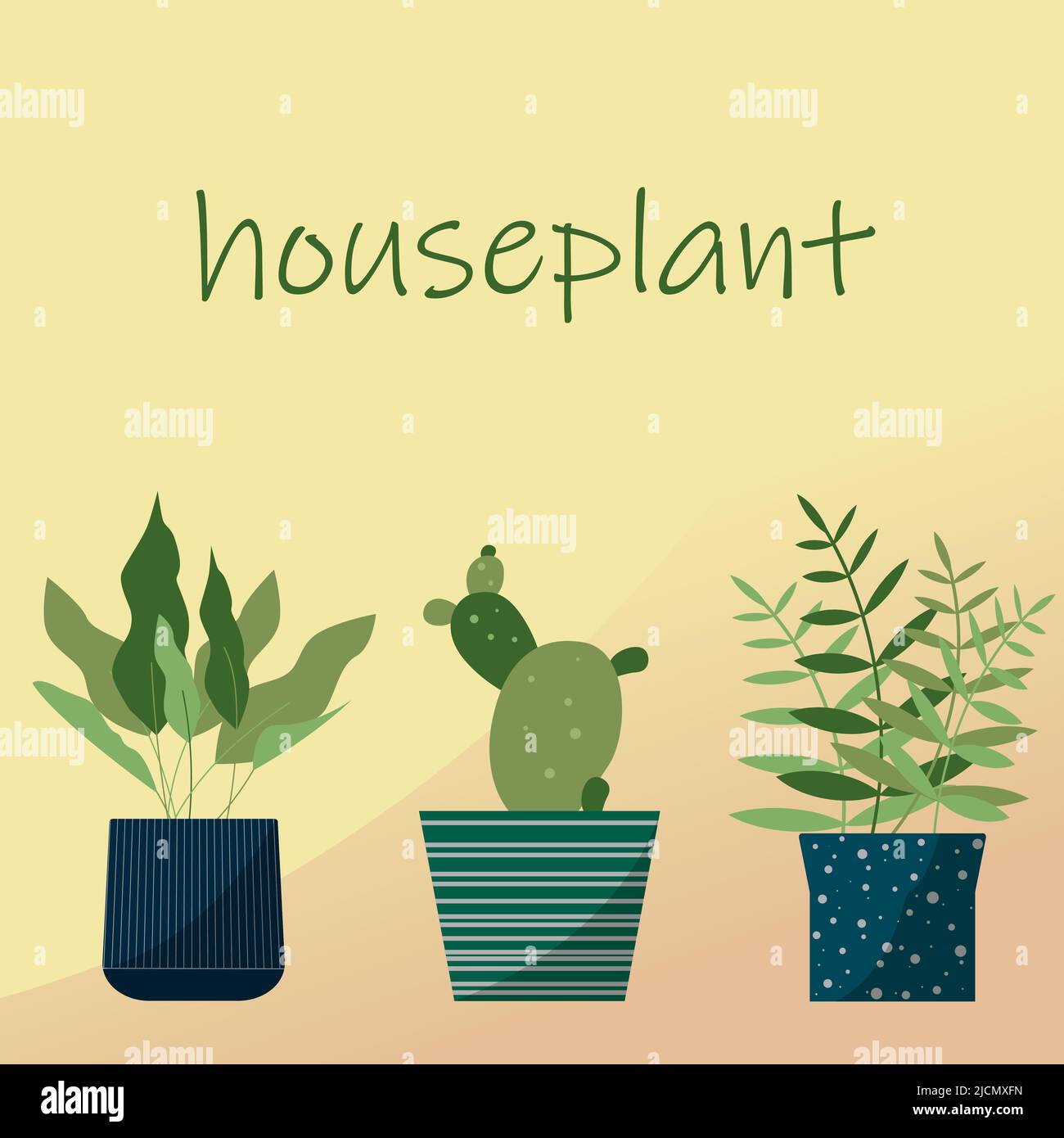 Ensemble de plantes d'origine dans le pot de fleurs. Illustration vectorielle Houseplants avec espace pour le texte Illustration de Vecteur