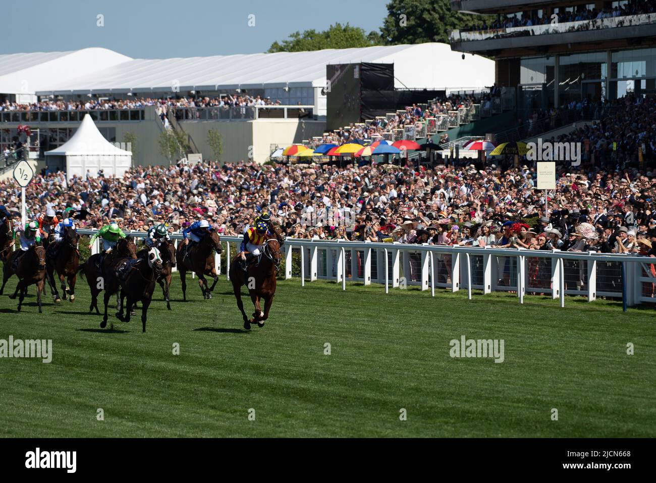Ascot, Berkshire, Royaume-Uni. 14th juin 2022. Horse nature Strip, criblé par le jockey James McDonald, remporte les piquets du King's Stand. Propriétaires R Lyons, P Harrison, P Kean et al Cheval numéro 6, Khaadem était lâche et courut à côté de la bande de nature pendant qu'ils franchissaient la ligne. Crédit : Maureen McLean/Alay Live News Banque D'Images