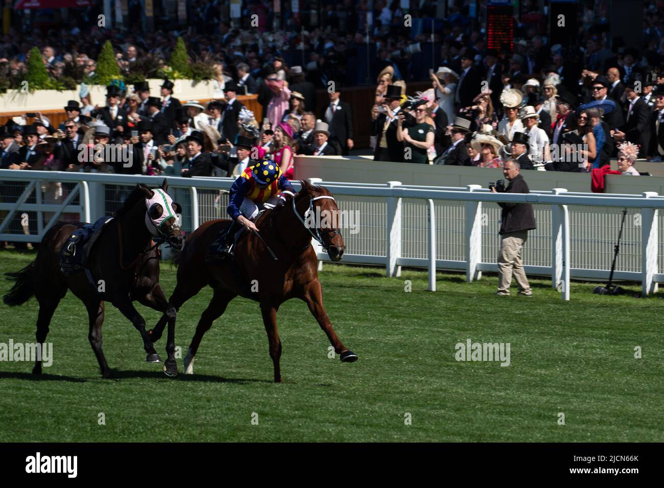 Ascot, Berkshire, Royaume-Uni. 14th juin 2022. Horse nature Strip, criblé par le jockey James McDonald, remporte les piquets du King's Stand. Propriétaires R Lyons, P Harrison, P Kean et al Cheval numéro 6, Khaadem était lâche et courut à côté de la bande de nature pendant qu'ils franchissaient la ligne. Crédit : Maureen McLean/Alay Live News Banque D'Images