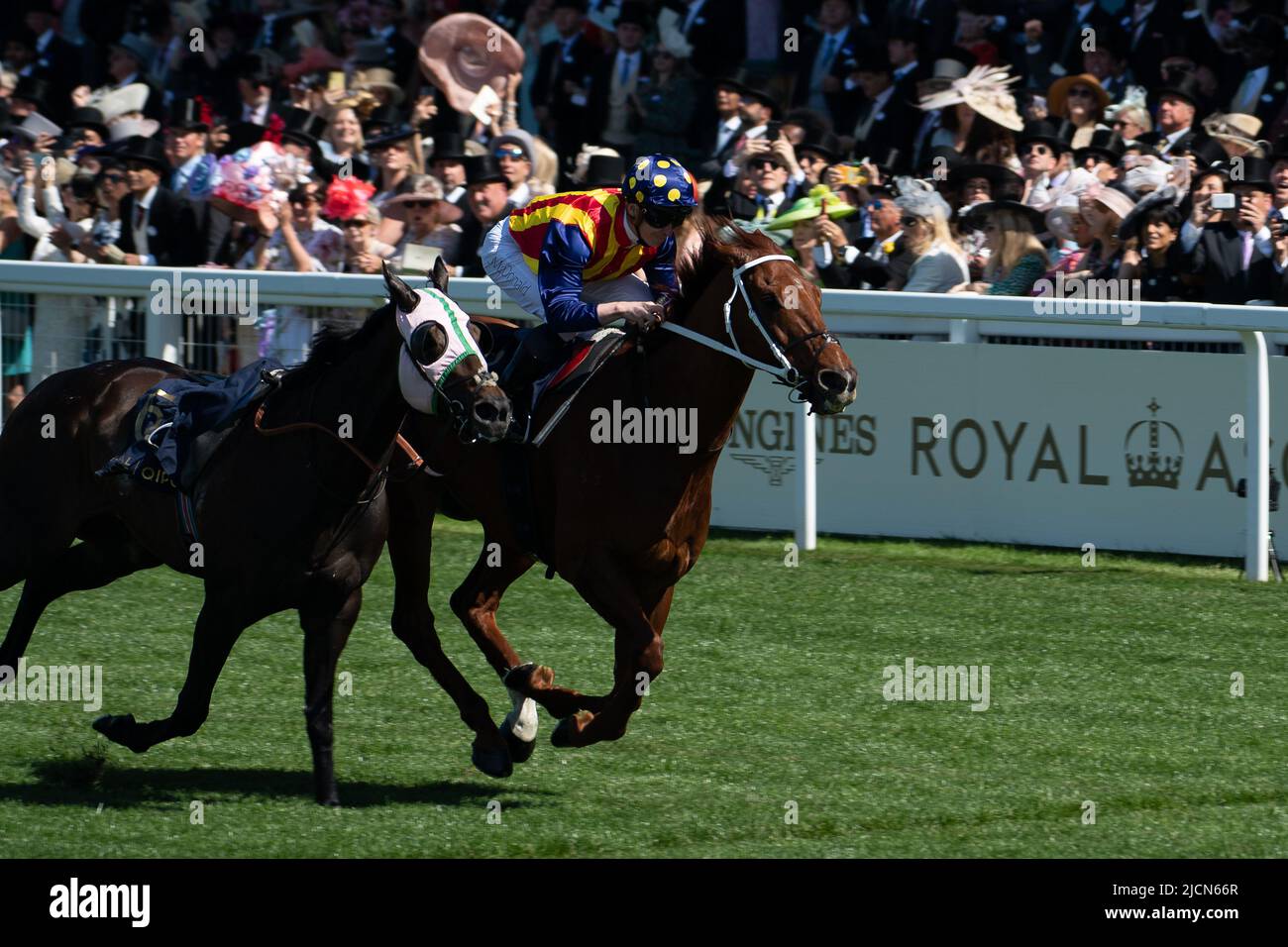 Ascot, Berkshire, Royaume-Uni. 14th juin 2022. Horse nature Strip, criblé par le jockey James McDonald, remporte les piquets du King's Stand. Propriétaires R Lyons, P Harrison, P Kean et al Cheval numéro 6, Khaadem était lâche et courut à côté de la bande de nature pendant qu'ils franchissaient la ligne. Crédit : Maureen McLean/Alay Live News Banque D'Images