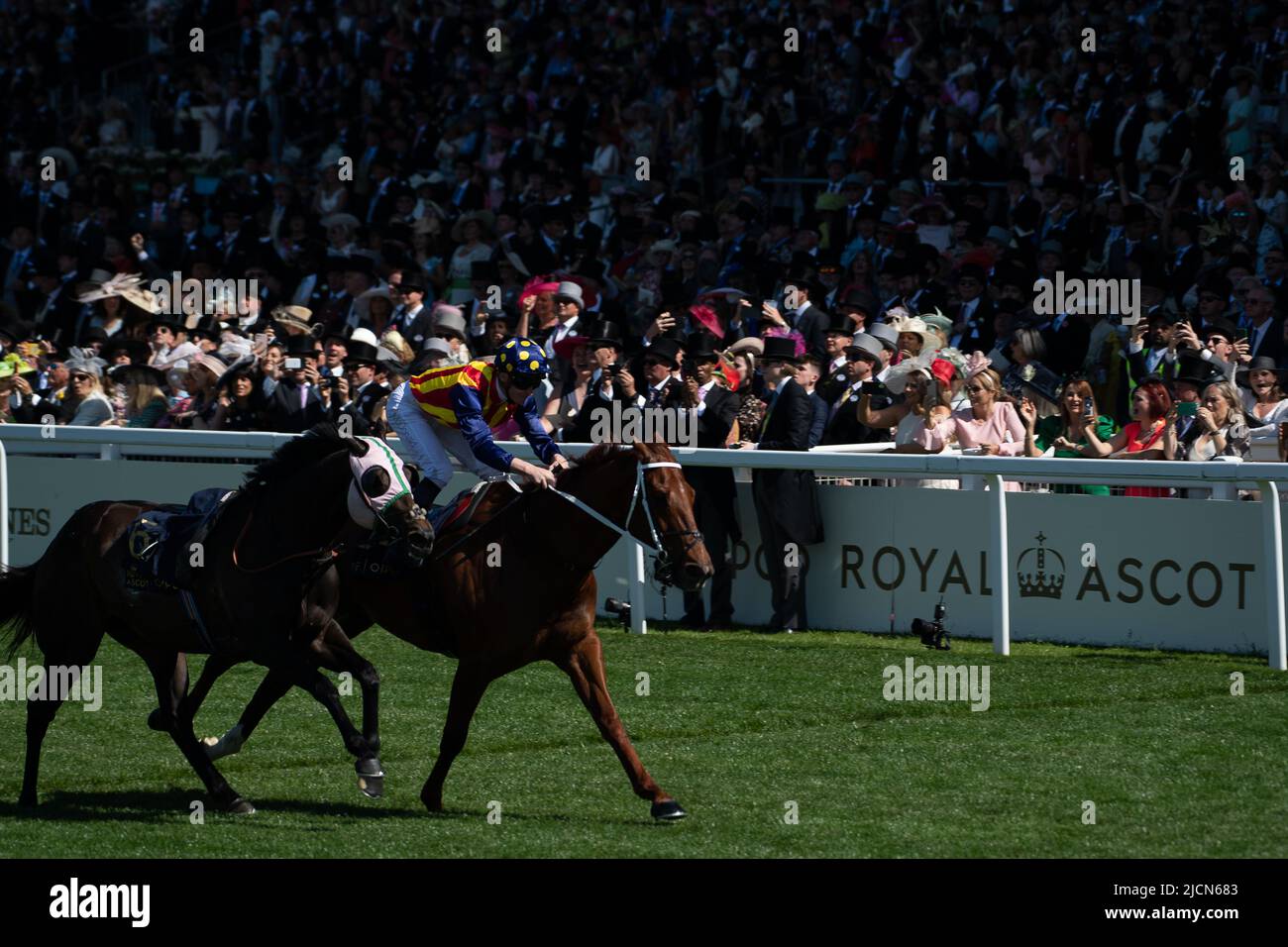 Ascot, Berkshire, Royaume-Uni. 14th juin 2022. Horse nature Strip, criblé par le jockey James McDonald, remporte les piquets du King's Stand. Propriétaires R Lyons, P Harrison, P Kean et al Cheval numéro 6, Khaadem était lâche et courut à côté de la bande de nature pendant qu'ils franchissaient la ligne. Crédit : Maureen McLean/Alay Live News Banque D'Images