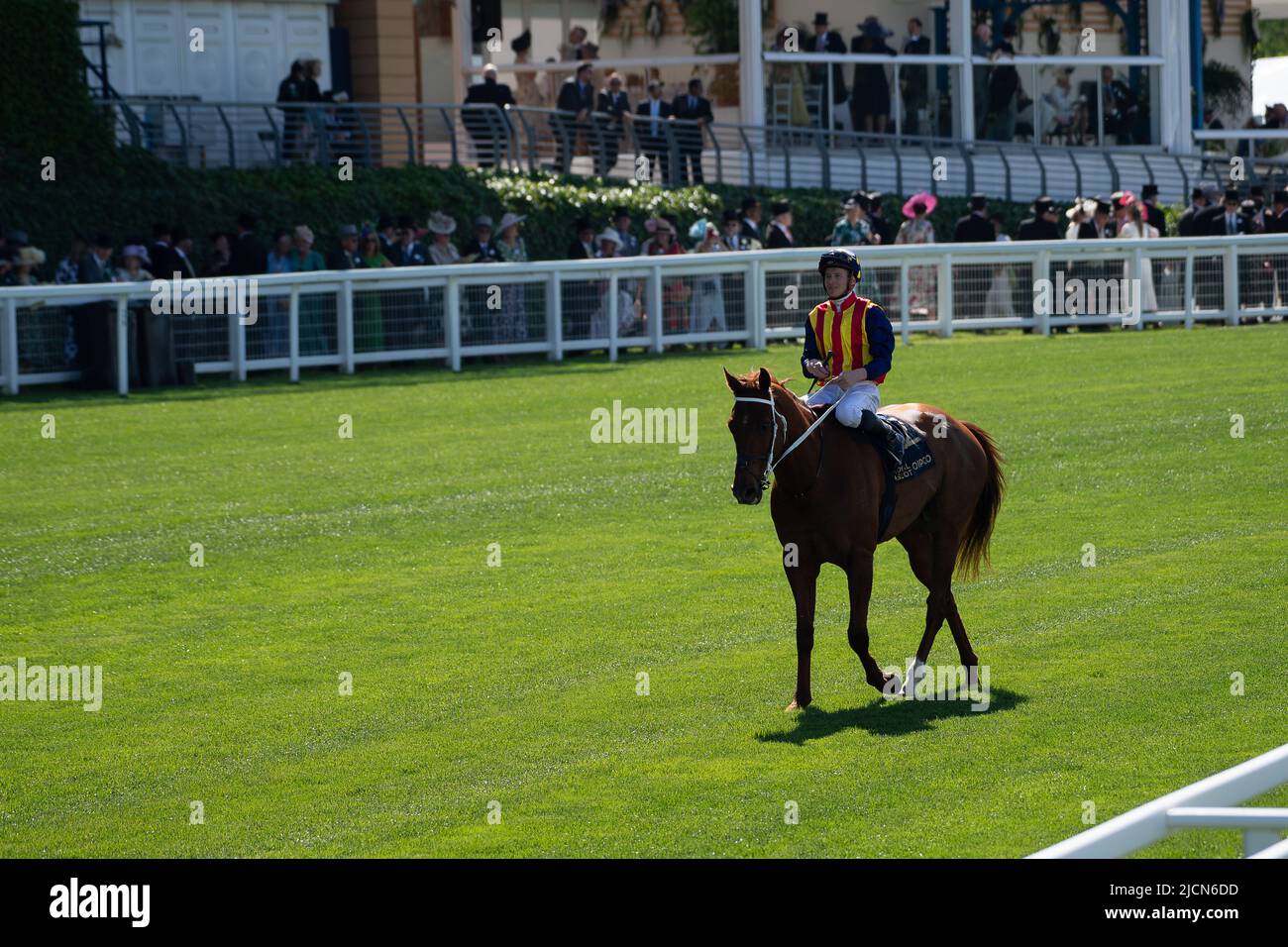 Ascot, Berkshire, Royaume-Uni. 14th juin 2022. Horse nature Strip, criblé par le jockey James McDonald, remporte les piquets du King's Stand. Propriétaires R Lyons, P Harrison, P Kean et al Cheval numéro 6, Khaadem était lâche et courut à côté de la bande de nature pendant qu'ils franchissaient la ligne. Crédit : Maureen McLean/Alay Live News Banque D'Images
