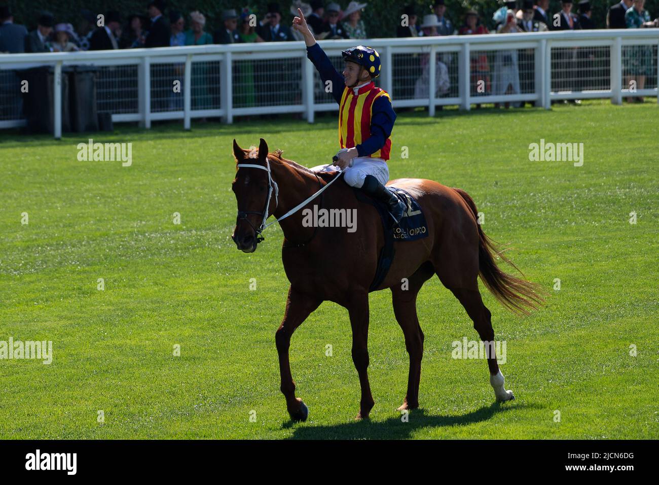 Ascot, Berkshire, Royaume-Uni. 14th juin 2022. Horse nature Strip, criblé par le jockey James McDonald, remporte les piquets du King's Stand. Propriétaires R Lyons, P Harrison, P Kean et al Cheval numéro 6, Khaadem était lâche et courut à côté de la bande de nature pendant qu'ils franchissaient la ligne. Crédit : Maureen McLean/Alay Live News Banque D'Images
