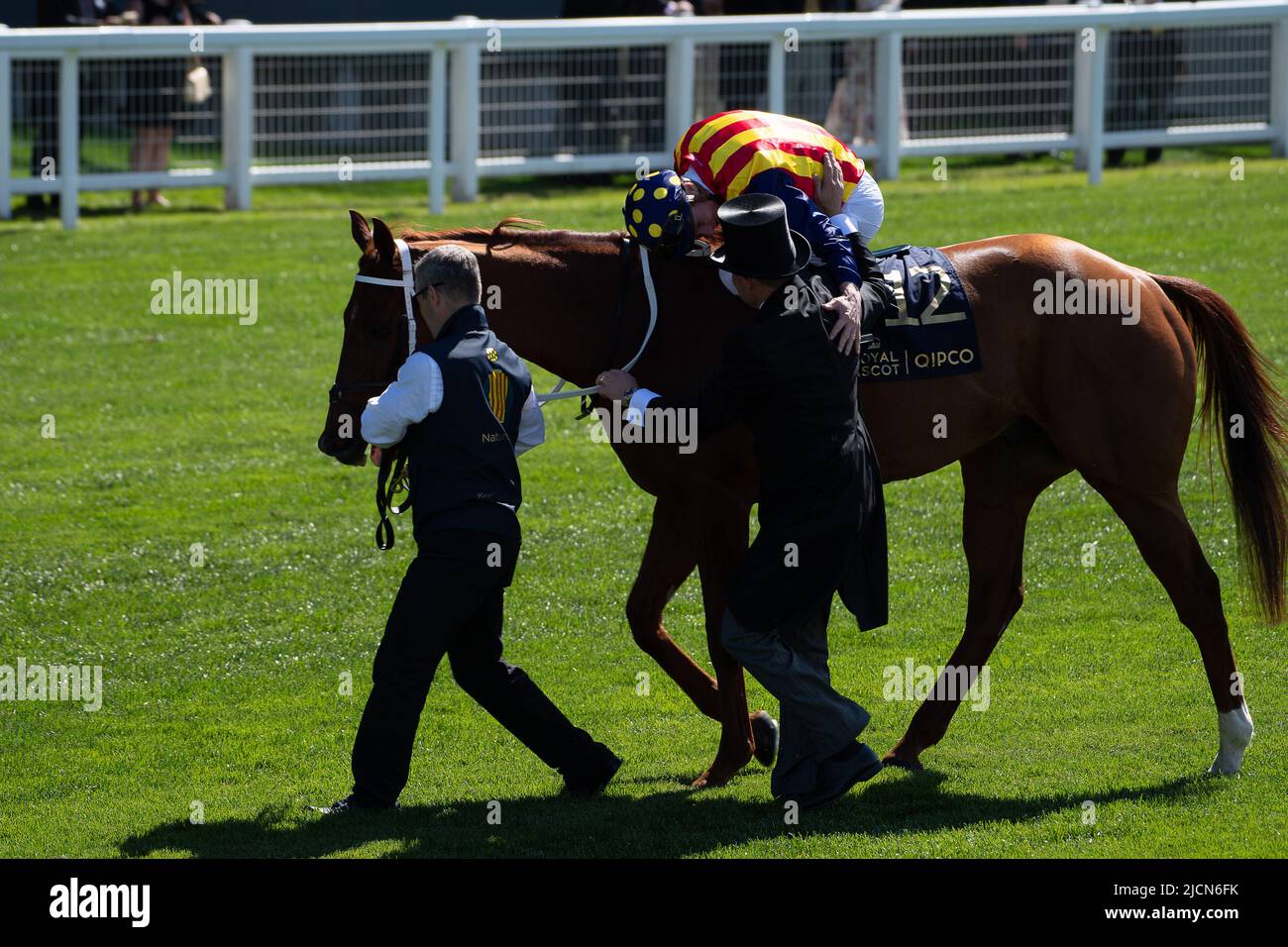 Ascot, Berkshire, Royaume-Uni. 14th juin 2022. Horse nature Strip, criblé par le jockey James McDonald, remporte les piquets du King's Stand. Propriétaires R Lyons, P Harrison, P Kean et al Cheval numéro 6, Khaadem était lâche et courut à côté de la bande de nature pendant qu'ils franchissaient la ligne. Crédit : Maureen McLean/Alay Live News Banque D'Images