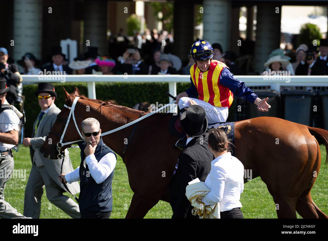 Ascot, Berkshire, Royaume-Uni. 14th juin 2022. Horse nature Strip, criblé par le jockey James McDonald, remporte les piquets du King's Stand. Propriétaires R Lyons, P Harrison, P Kean et al Cheval numéro 6, Khaadem était lâche et courut à côté de la bande de nature pendant qu'ils franchissaient la ligne. Crédit : Maureen McLean/Alay Live News Banque D'Images