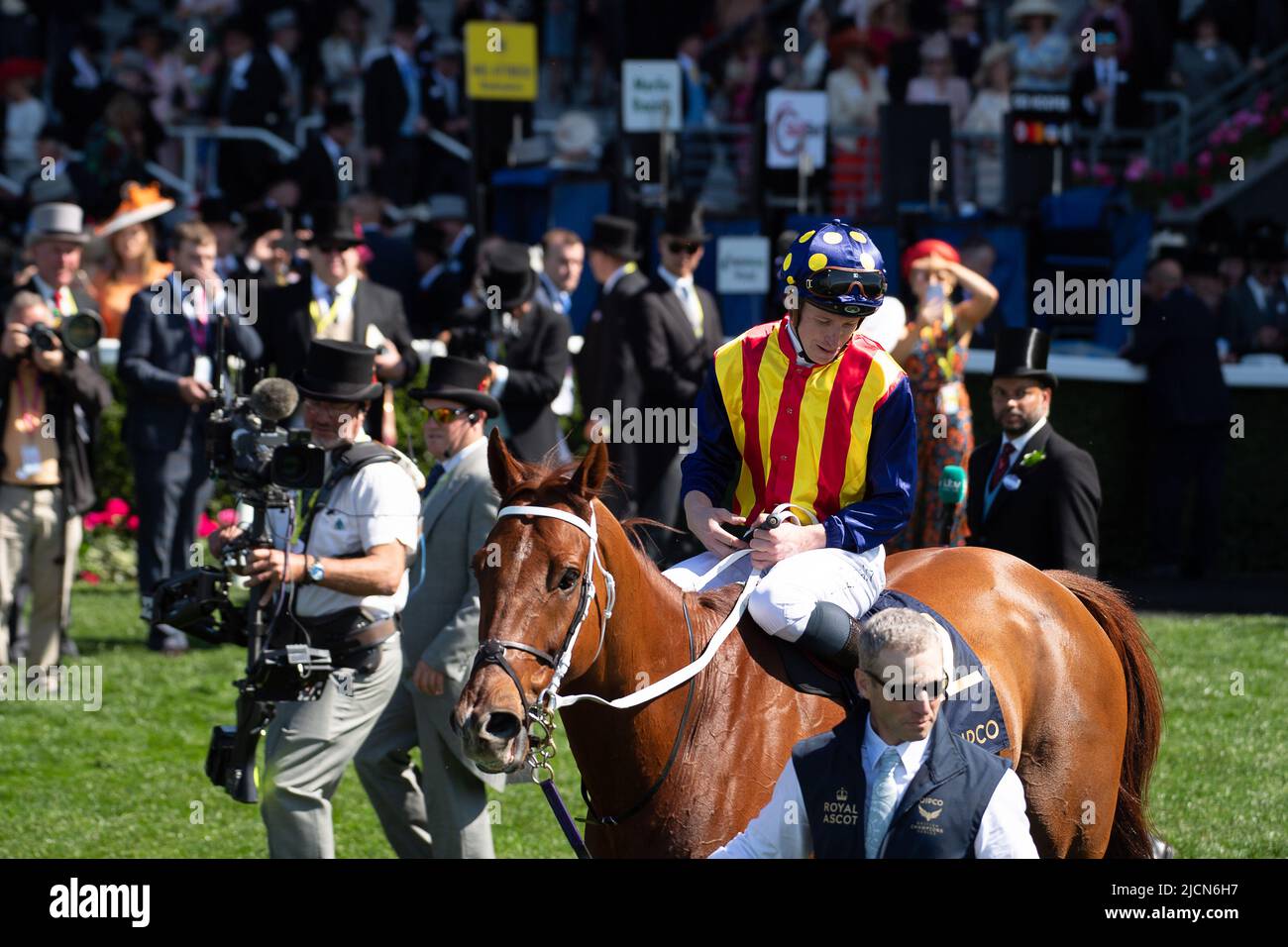 Ascot, Berkshire, Royaume-Uni. 14th juin 2022. Horse nature Strip, criblé par le jockey James McDonald, remporte les piquets du King's Stand. Propriétaires R Lyons, P Harrison, P Kean et al Cheval numéro 6, Khaadem était lâche et courut à côté de la bande de nature pendant qu'ils franchissaient la ligne. Crédit : Maureen McLean/Alay Live News Banque D'Images