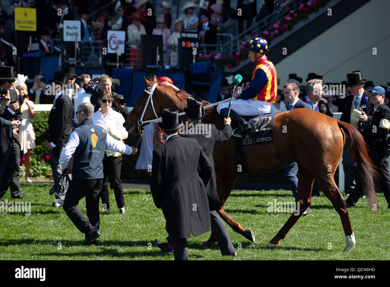 Ascot, Berkshire, Royaume-Uni. 14th juin 2022. Horse nature Strip, criblé par le jockey James McDonald, remporte les piquets du King's Stand. Propriétaires R Lyons, P Harrison, P Kean et al Cheval numéro 6, Khaadem était lâche et courut à côté de la bande de nature pendant qu'ils franchissaient la ligne. Crédit : Maureen McLean/Alay Live News Banque D'Images
