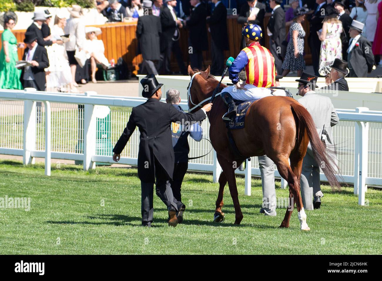 Ascot, Berkshire, Royaume-Uni. 14th juin 2022. Horse nature Strip, criblé par le jockey James McDonald, remporte les piquets du King's Stand. Propriétaires R Lyons, P Harrison, P Kean et al Cheval numéro 6, Khaadem était lâche et courut à côté de la bande de nature pendant qu'ils franchissaient la ligne. Crédit : Maureen McLean/Alay Live News Banque D'Images