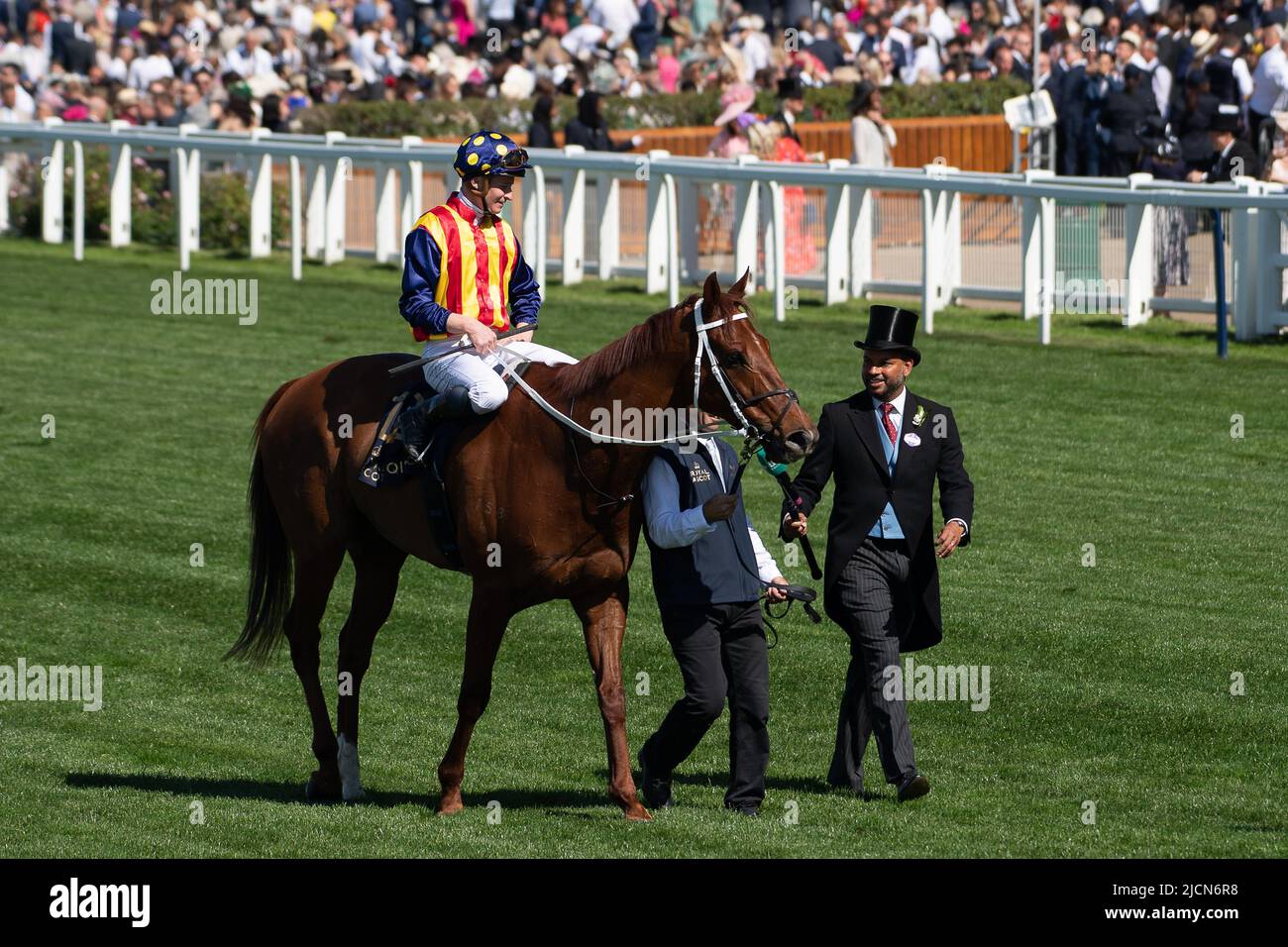Ascot, Berkshire, Royaume-Uni. 14th juin 2022. Horse nature Strip, criblé par le jockey James McDonald, remporte les piquets du King's Stand. Propriétaires R Lyons, P Harrison, P Kean et al Cheval numéro 6, Khaadem était lâche et courut à côté de la bande de nature pendant qu'ils franchissaient la ligne. Crédit : Maureen McLean/Alay Live News Banque D'Images