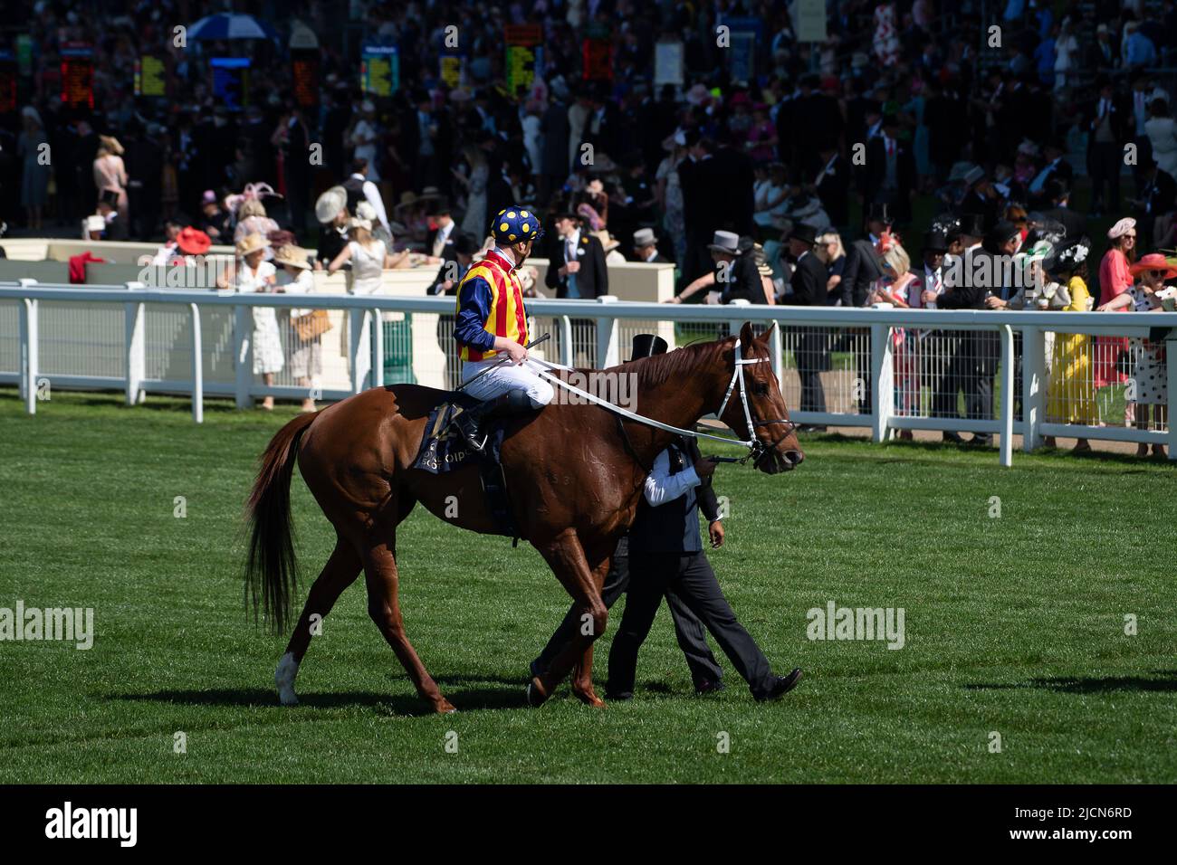 Ascot, Berkshire, Royaume-Uni. 14th juin 2022. Horse nature Strip, criblé par le jockey James McDonald, remporte les piquets du King's Stand. Propriétaires R Lyons, P Harrison, P Kean et al Cheval numéro 6, Khaadem était lâche et courut à côté de la bande de nature pendant qu'ils franchissaient la ligne. Crédit : Maureen McLean/Alay Live News Banque D'Images