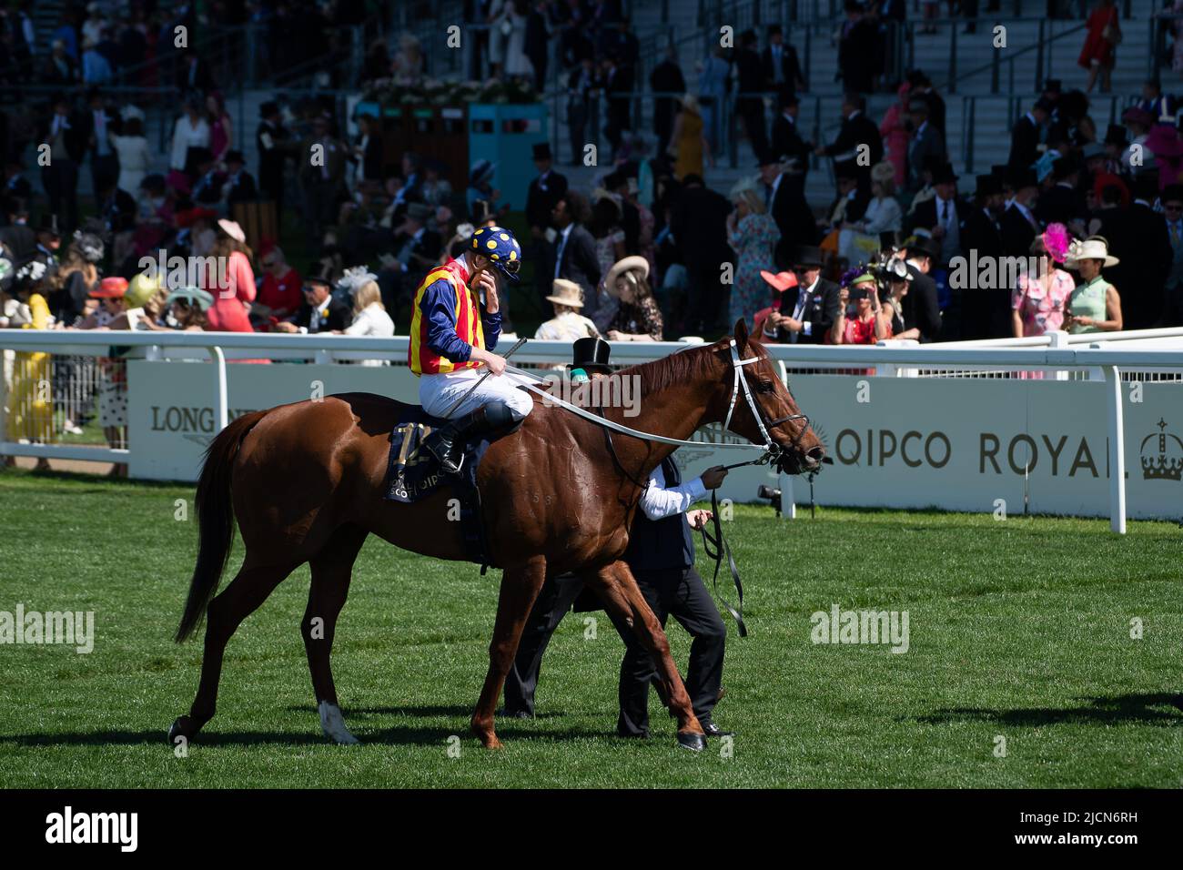 Ascot, Berkshire, Royaume-Uni. 14th juin 2022. Horse nature Strip, criblé par le jockey James McDonald, remporte les piquets du King's Stand. Propriétaires R Lyons, P Harrison, P Kean et al Cheval numéro 6, Khaadem était lâche et courut à côté de la bande de nature pendant qu'ils franchissaient la ligne. Crédit : Maureen McLean/Alay Live News Banque D'Images