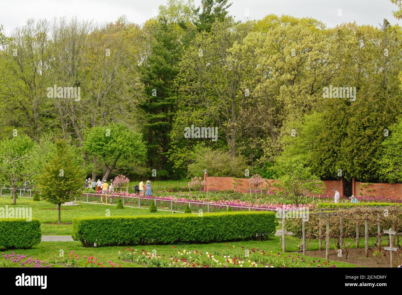 Les visiteurs se promènaient dans les jardins de tulipes de la maison et du jardin Stevens-Coolidge. North Andover, Massachusetts, États-Unis. Banque D'Images