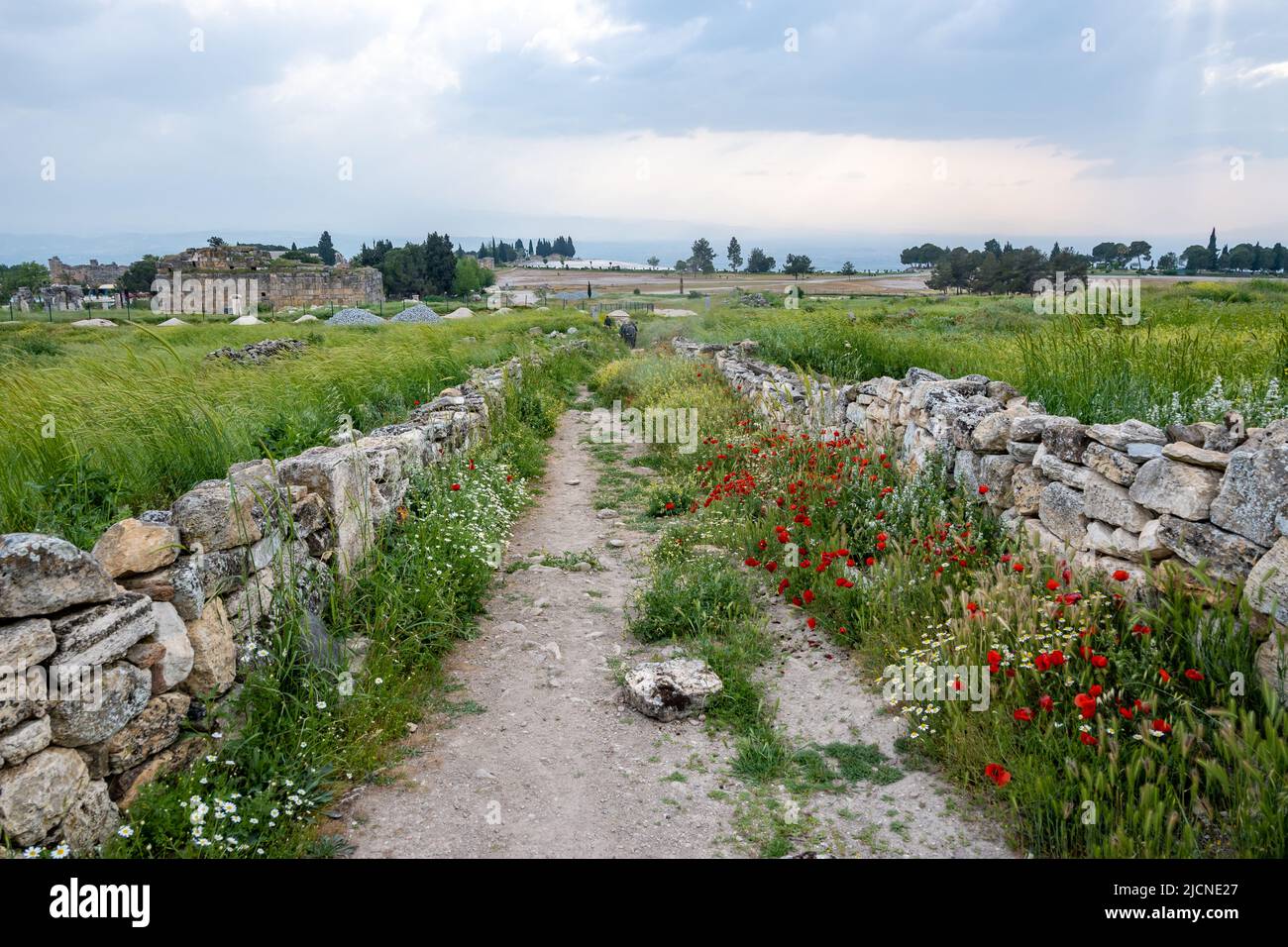 Ancien chemin et murs de pierre à Hiérapolis. Pamukkale, Türkiye. Banque D'Images
