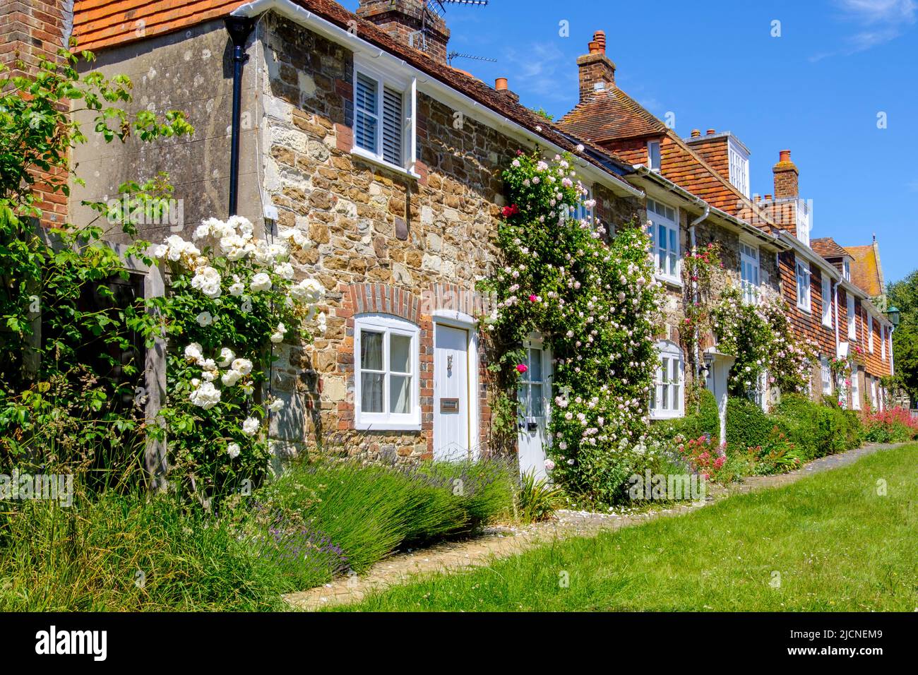 Jolies cottages recouverts de roses, Winchelsea, East Sussex, Royaume-Uni Banque D'Images