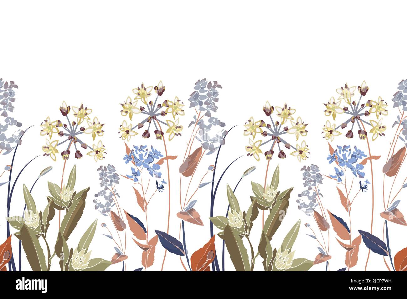 Motif fleuri vectoriel sans couture, bordure. Illustration panoramique horizontale avec prairie, fleurs de marais et herbes sur fond blanc. Illustration de Vecteur