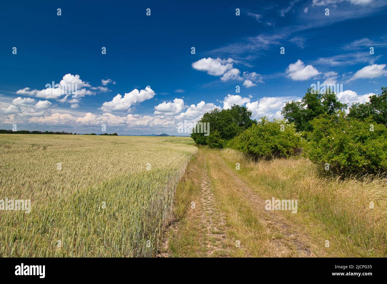 Un sentier poussiéreux autour du champ le jour du printemps sous un ciel bleu avec des nuages. Banque D'Images Un sentier poussiéreux autour du champ le jour du printemps sous un ciel bleu avec des nuages. Banque D'Images