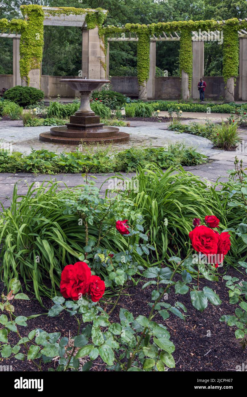 Le jardin des roses dans le parc Tiergarten, le plus grand parc de Berlin, Allemagne, Allemagne, Allemagne, Europe Banque D'Images