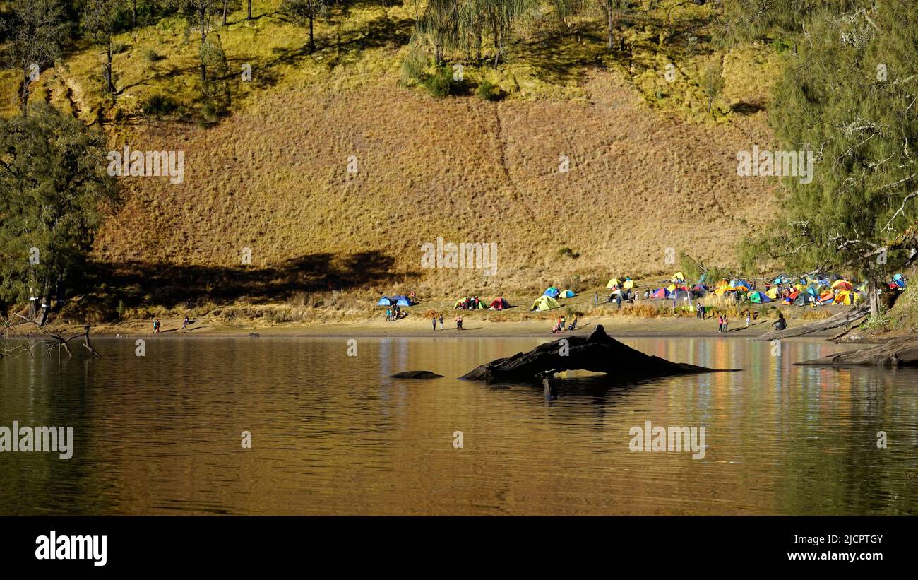 Site du camp de kumbolo de RANU dans la matinée, parc national de Bromo Tengger Semeru, Indonésie Banque D'Images