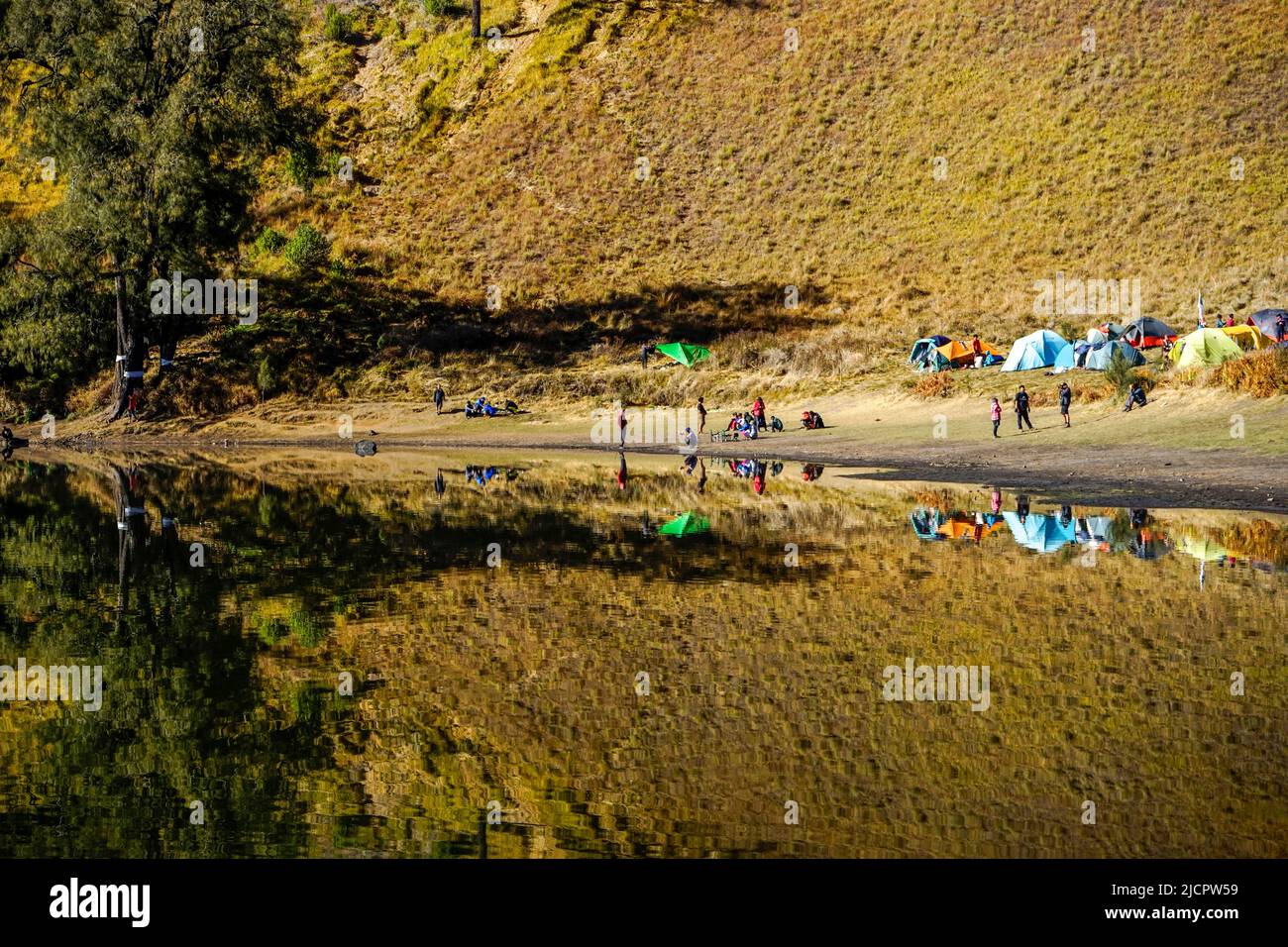 Site du camp de kumbolo de RANU dans la matinée, parc national de Bromo Tengger Semeru, Indonésie Banque D'Images