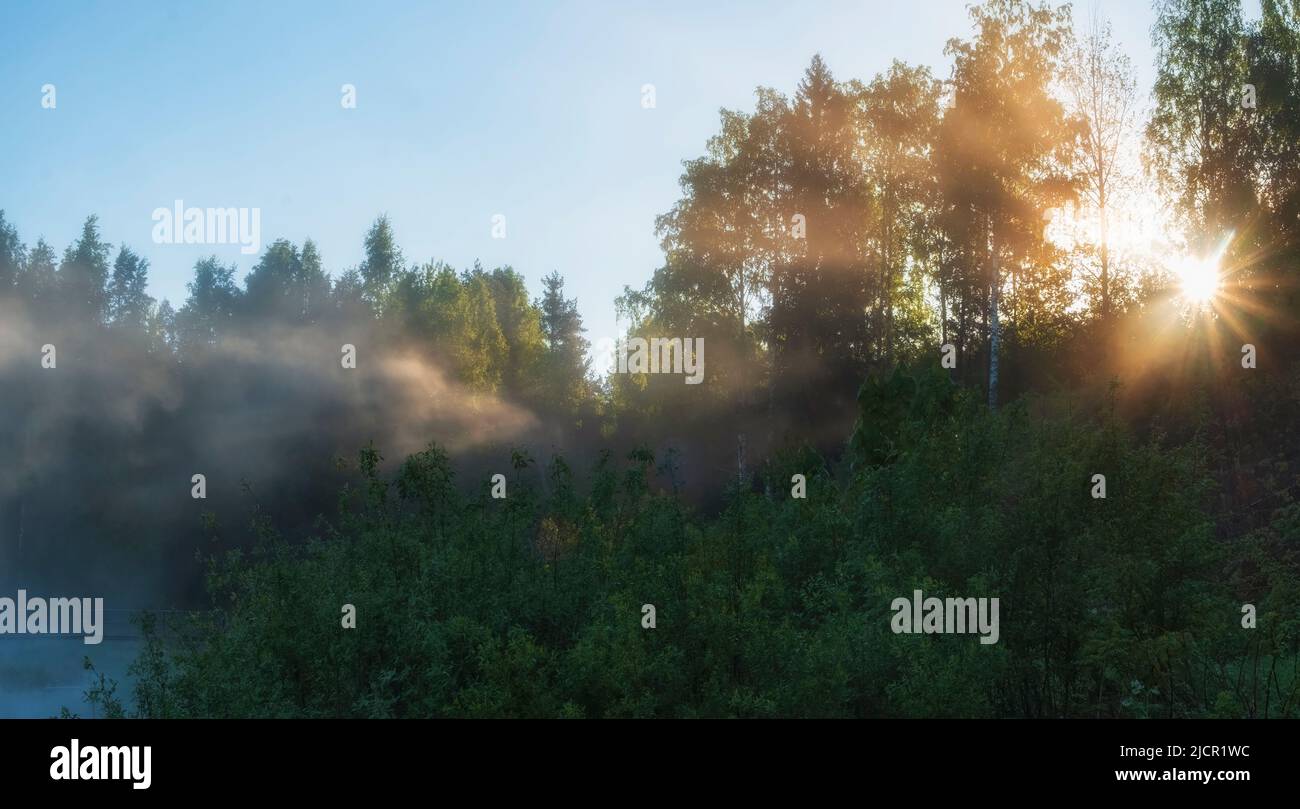 le soleil d'été du matin brille à travers la forêt et le brouillard sur le lac Banque D'Images
