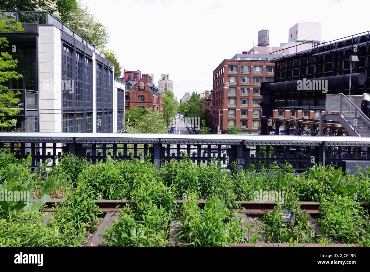 New York Highline à Manhattan Banque D'Images