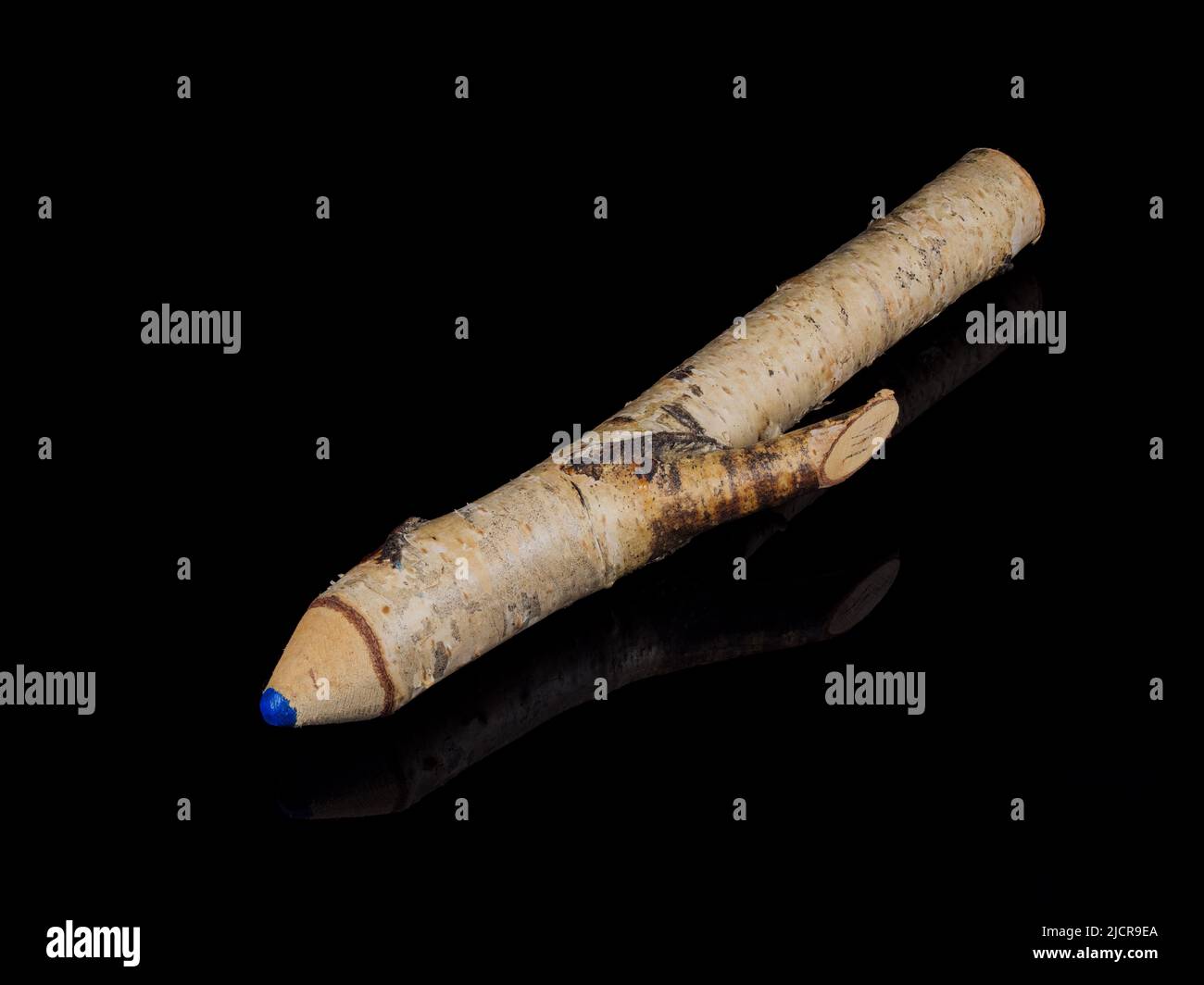 Crayon bleu stylisé à partir d'une branche isolée sur un fond noir Banque D'Images