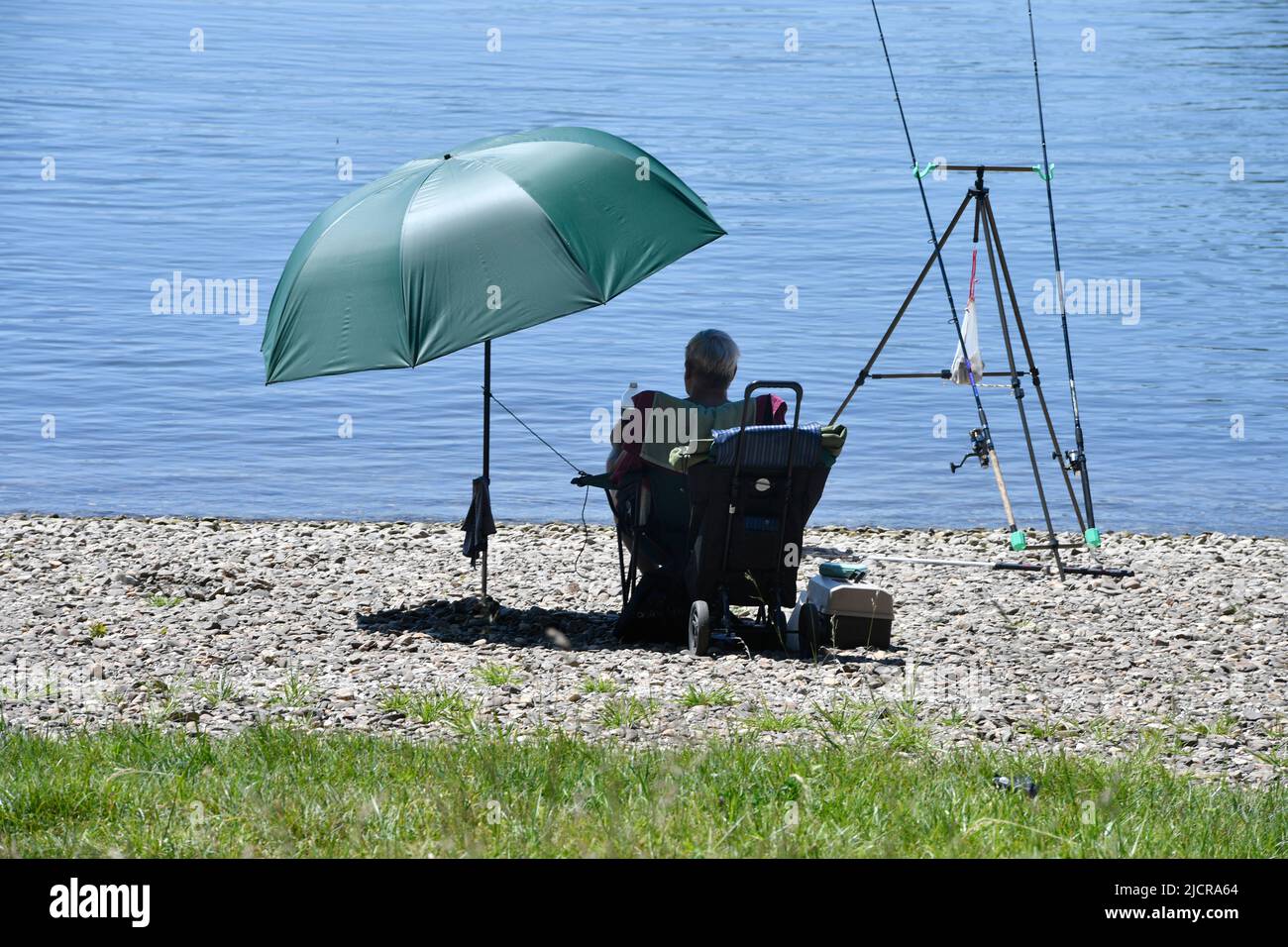 Hitdorf, Allemagne. 15th juin 2022. Bien protégé, un pêcheur amateur est assis sous un parapluie sur le Rhin. Les premiers amateurs de soleil ont pris place sur la plage au ferry du Rhin. Peu avant le début de l'été, les météorologues prévoient des températures estivales chaudes pour les prochains jours. Credit: Roberto Pfeil/dpa/Alay Live News Banque D'Images